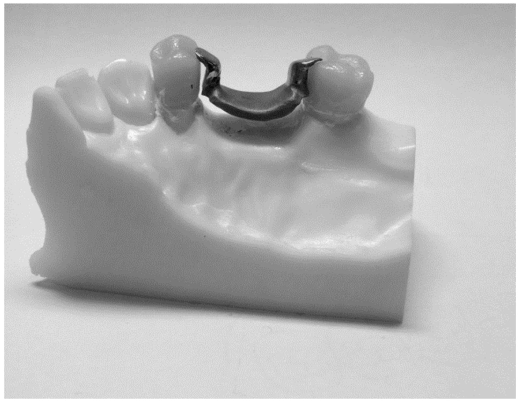 Biomimetics 08 00113 g010