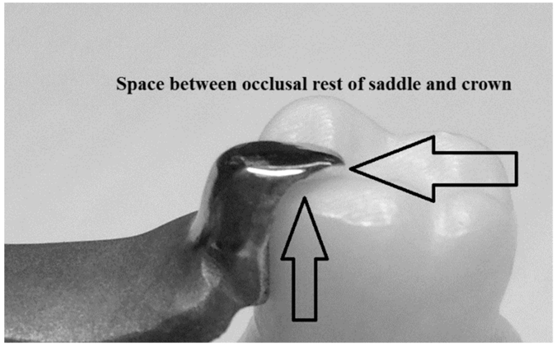 Biomimetics 08 00113 g011