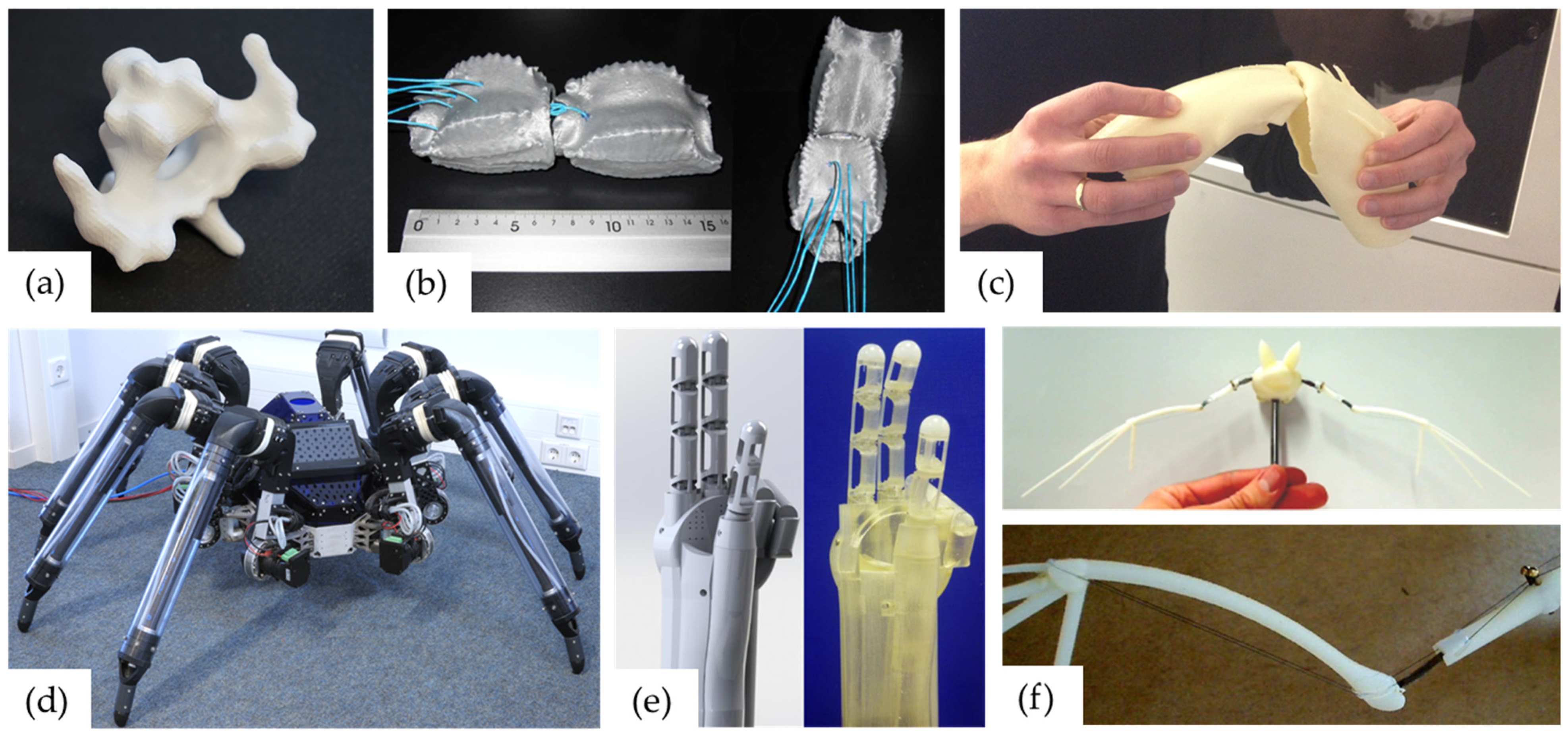 Biomimetics 08 00117 g001