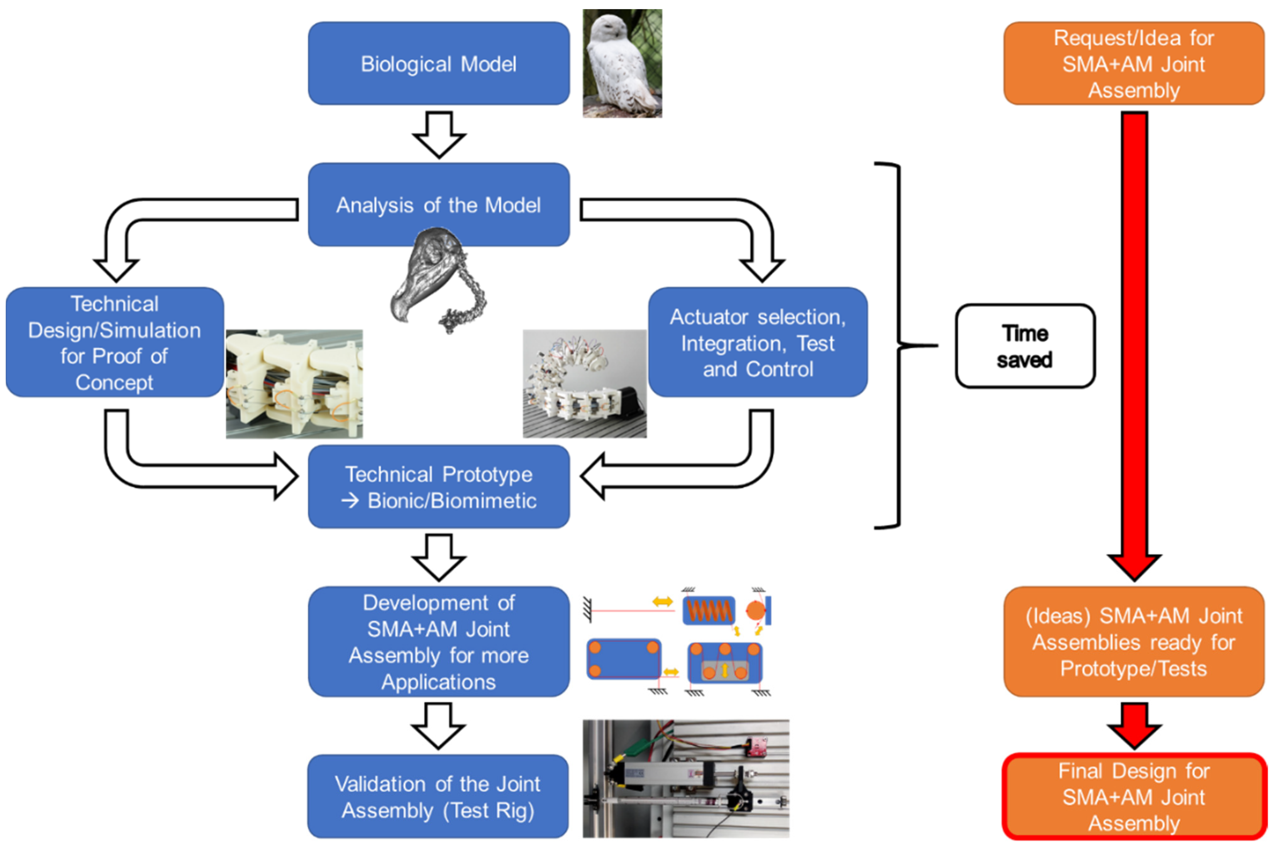 Biomimetics 08 00117 g002