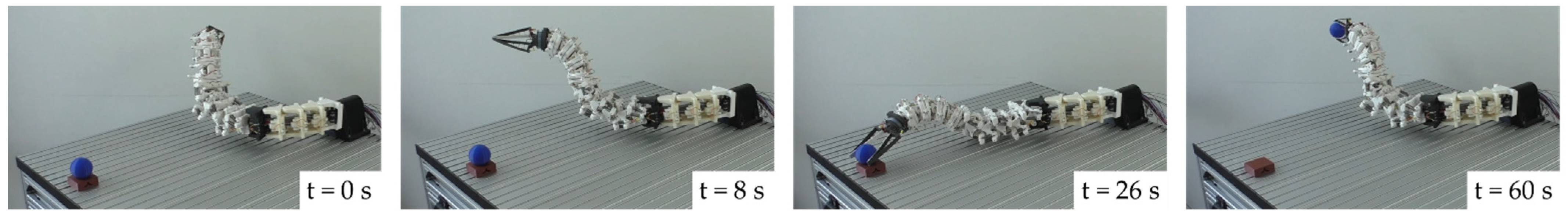 Biomimetics 08 00117 g010