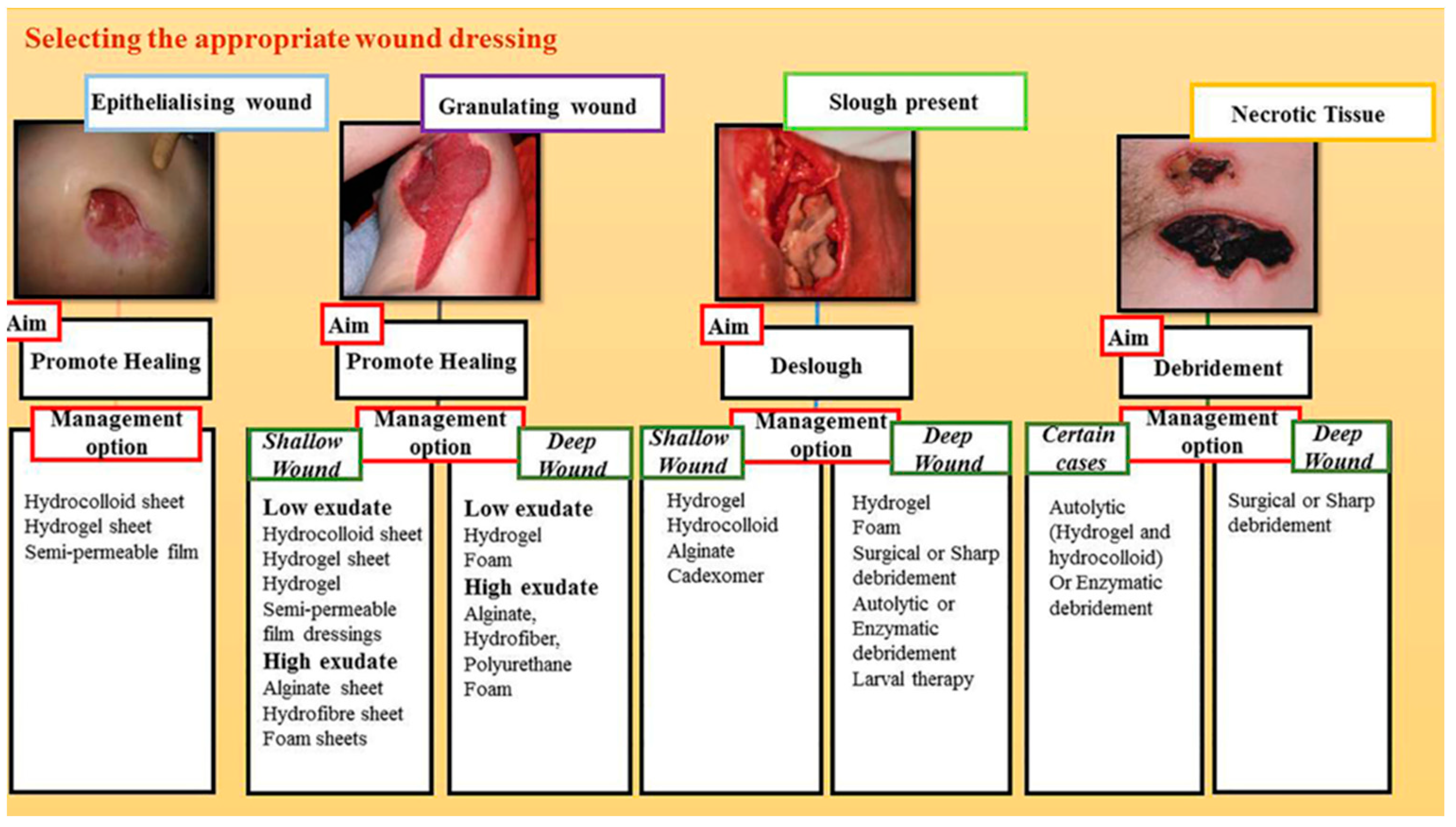 Biomimetics 08 00130 g006