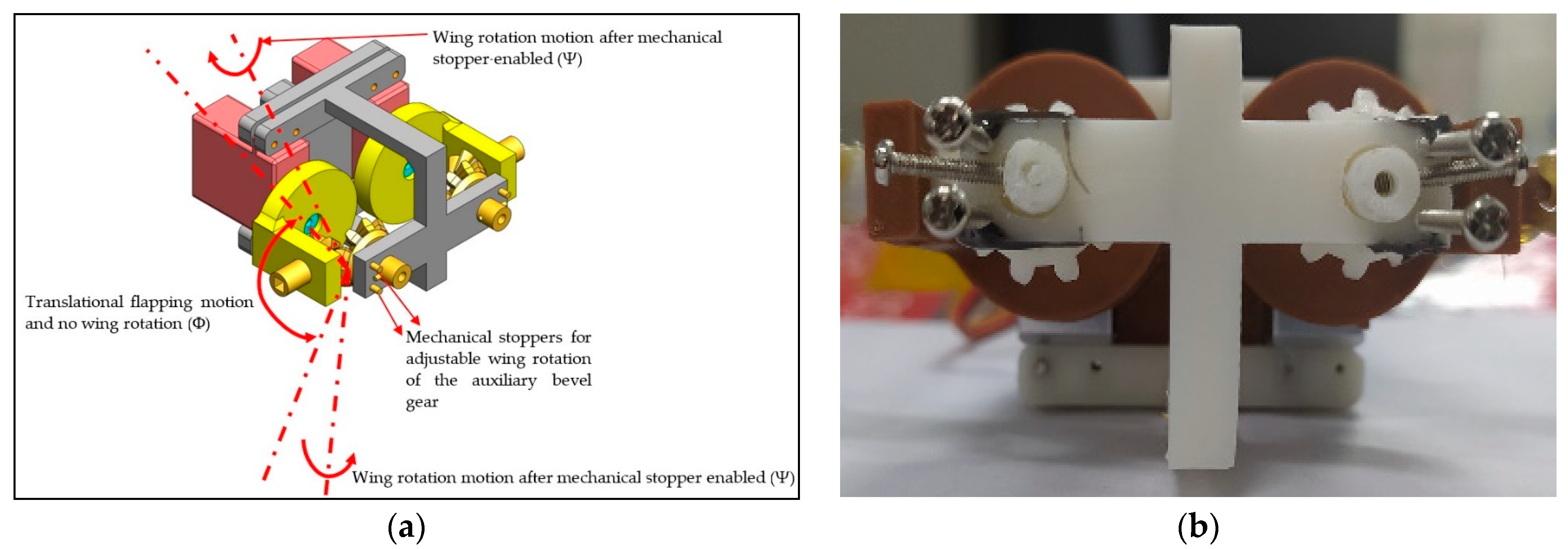 Biomimetics 08 00134 g005