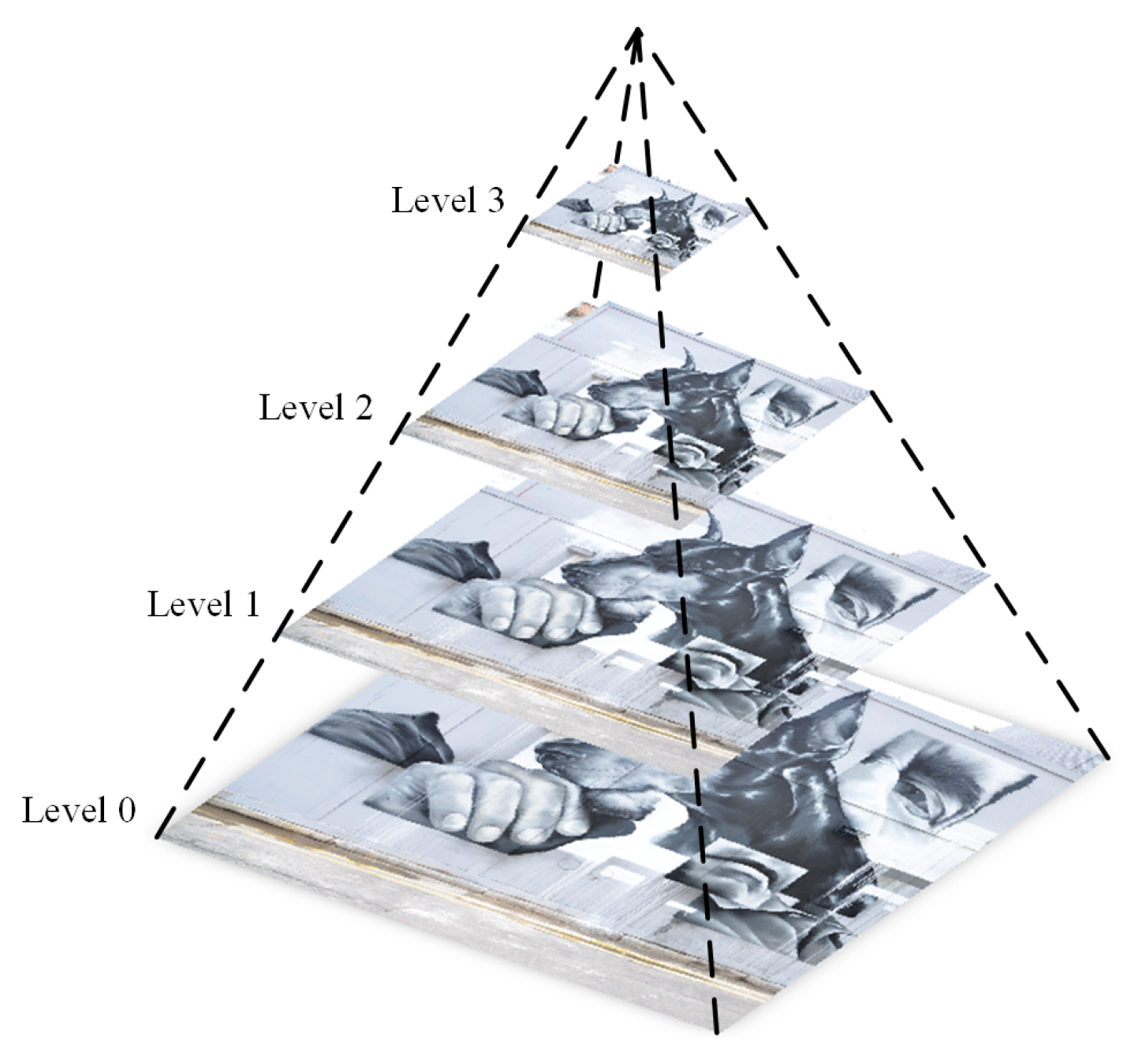 Biomimetics 08 00139 g004