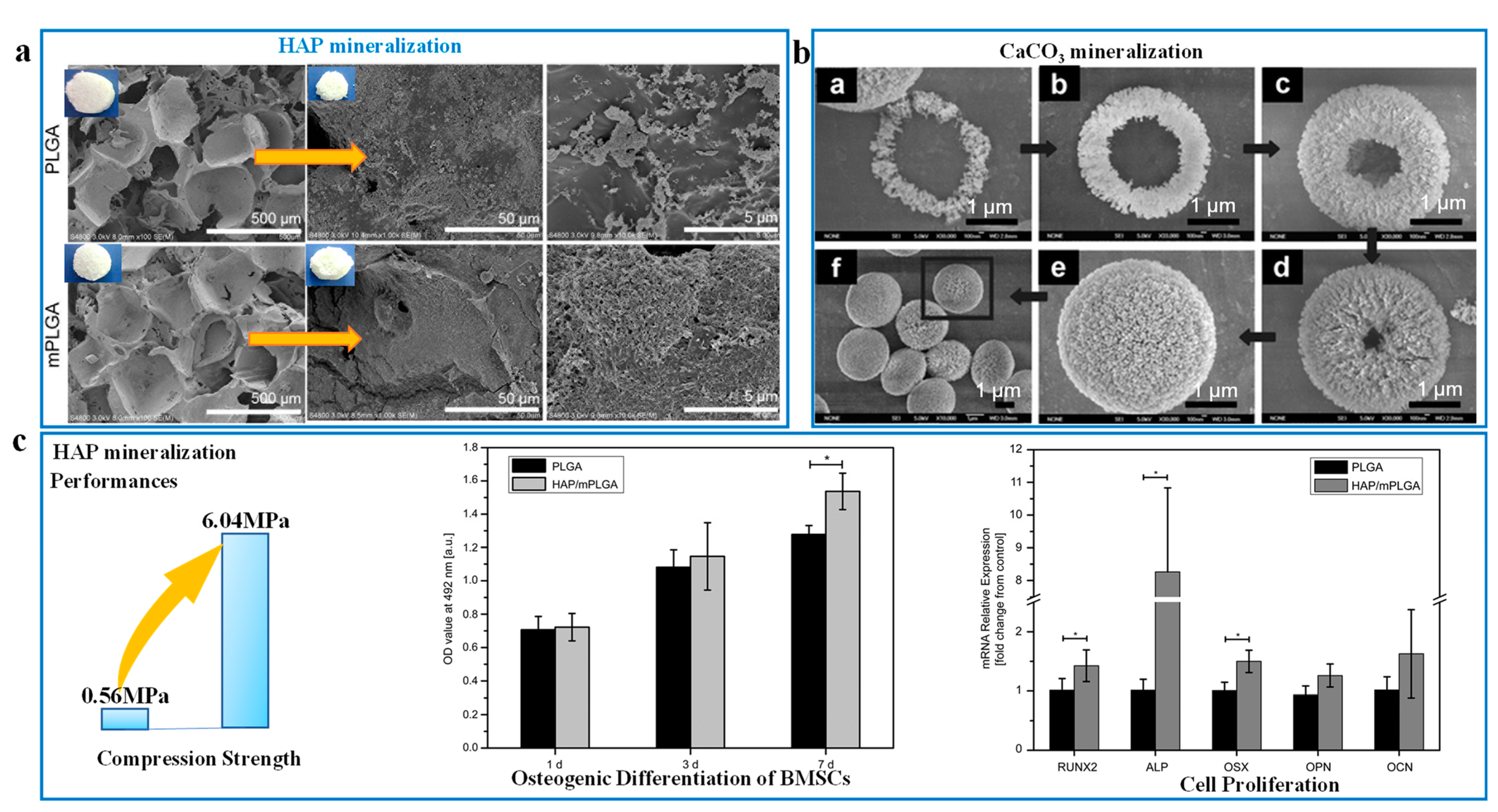 Biomimetics 08 00140 g003