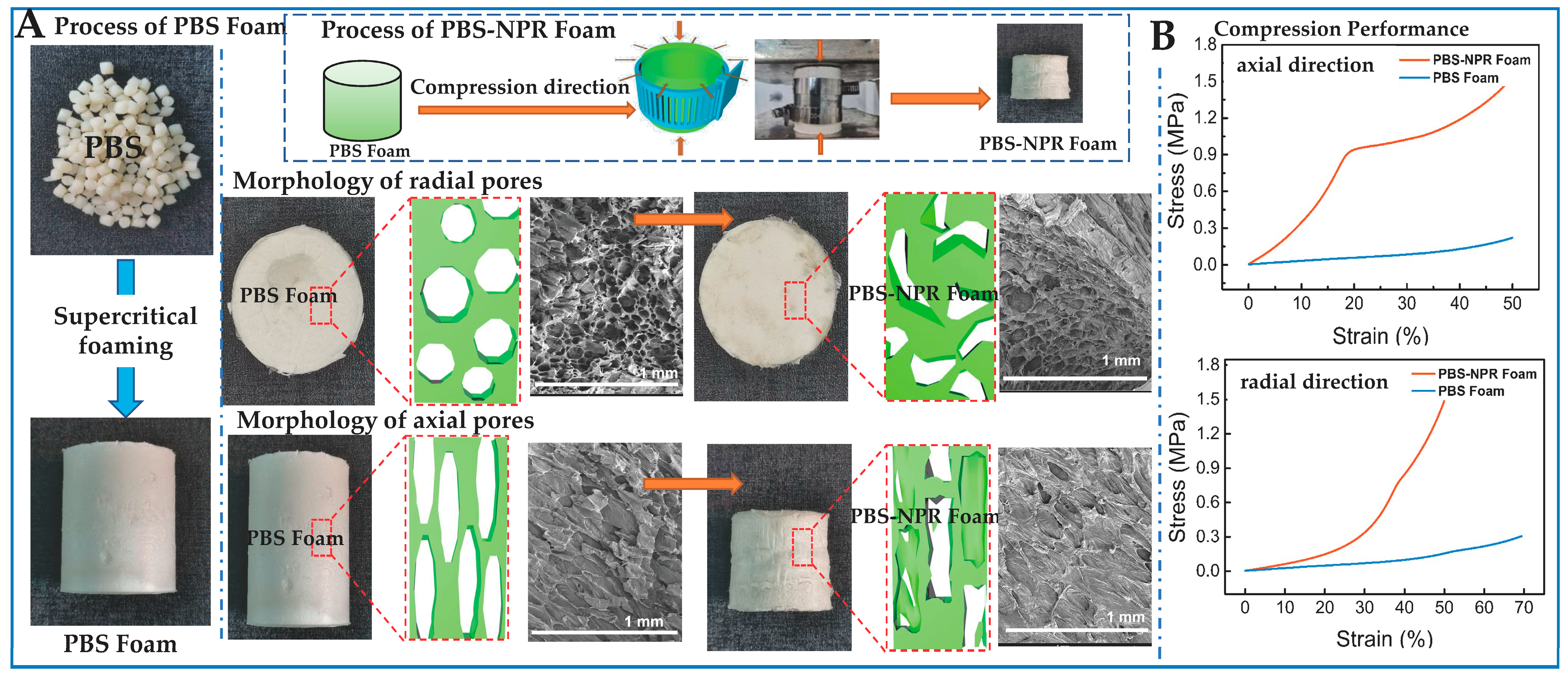 Biomimetics 08 00140 g005