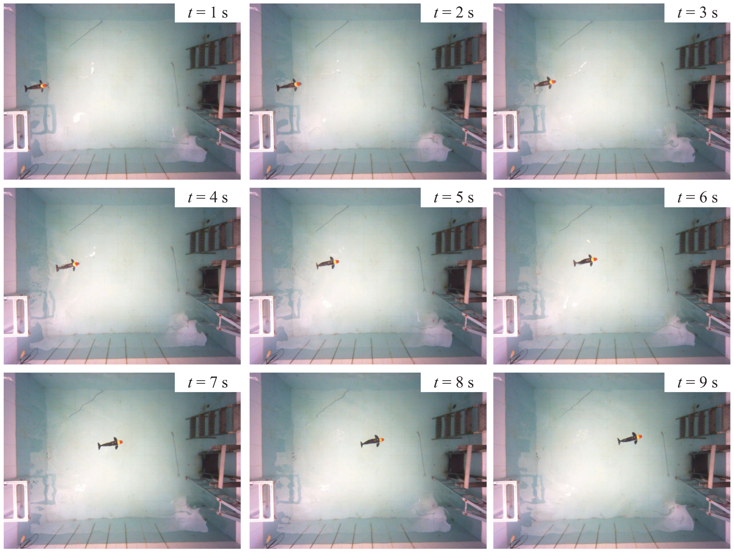 Biomimetics 08 00151 g006