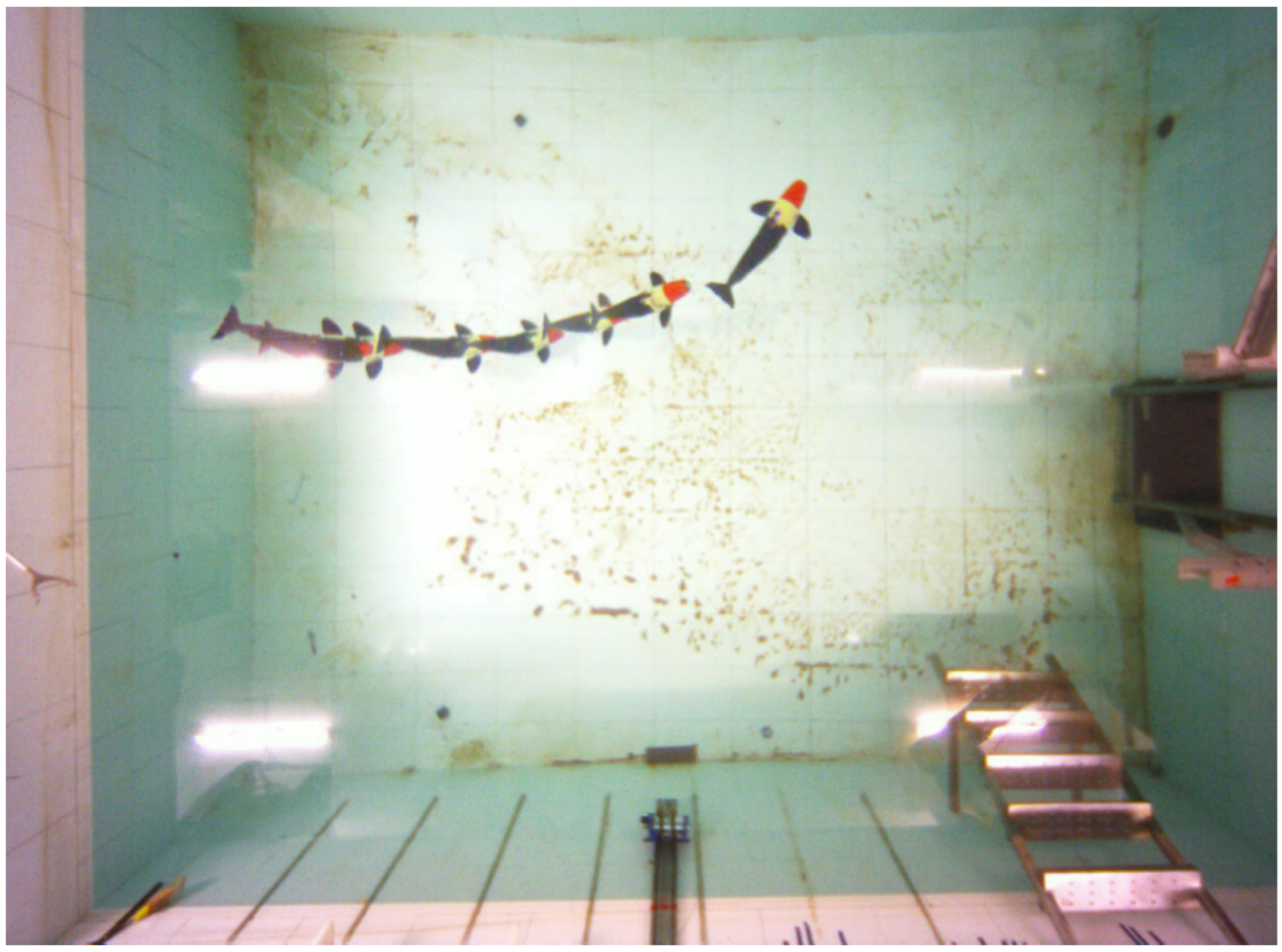 Biomimetics 08 00151 g011