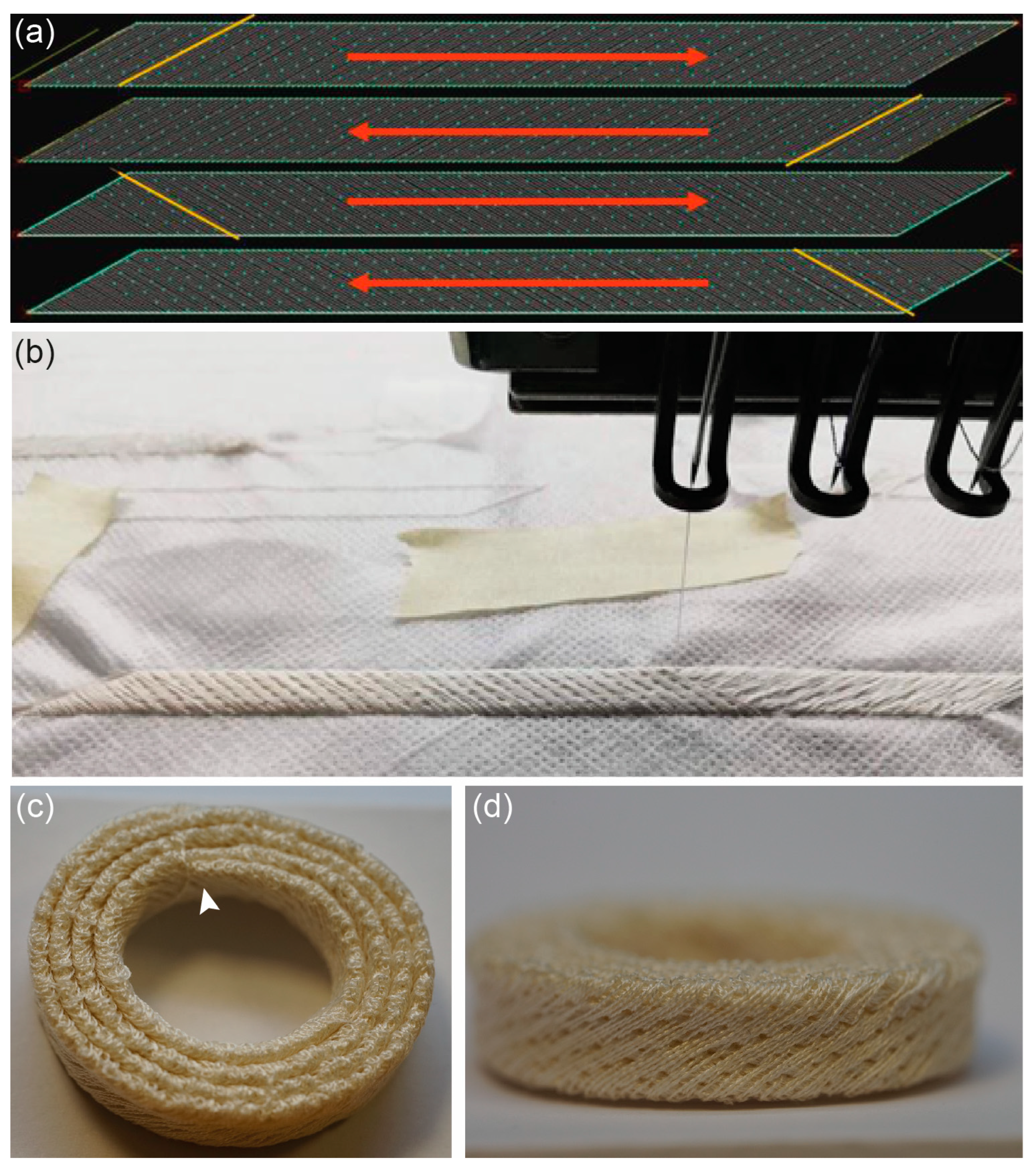 Biomimetics 08 00152 g003