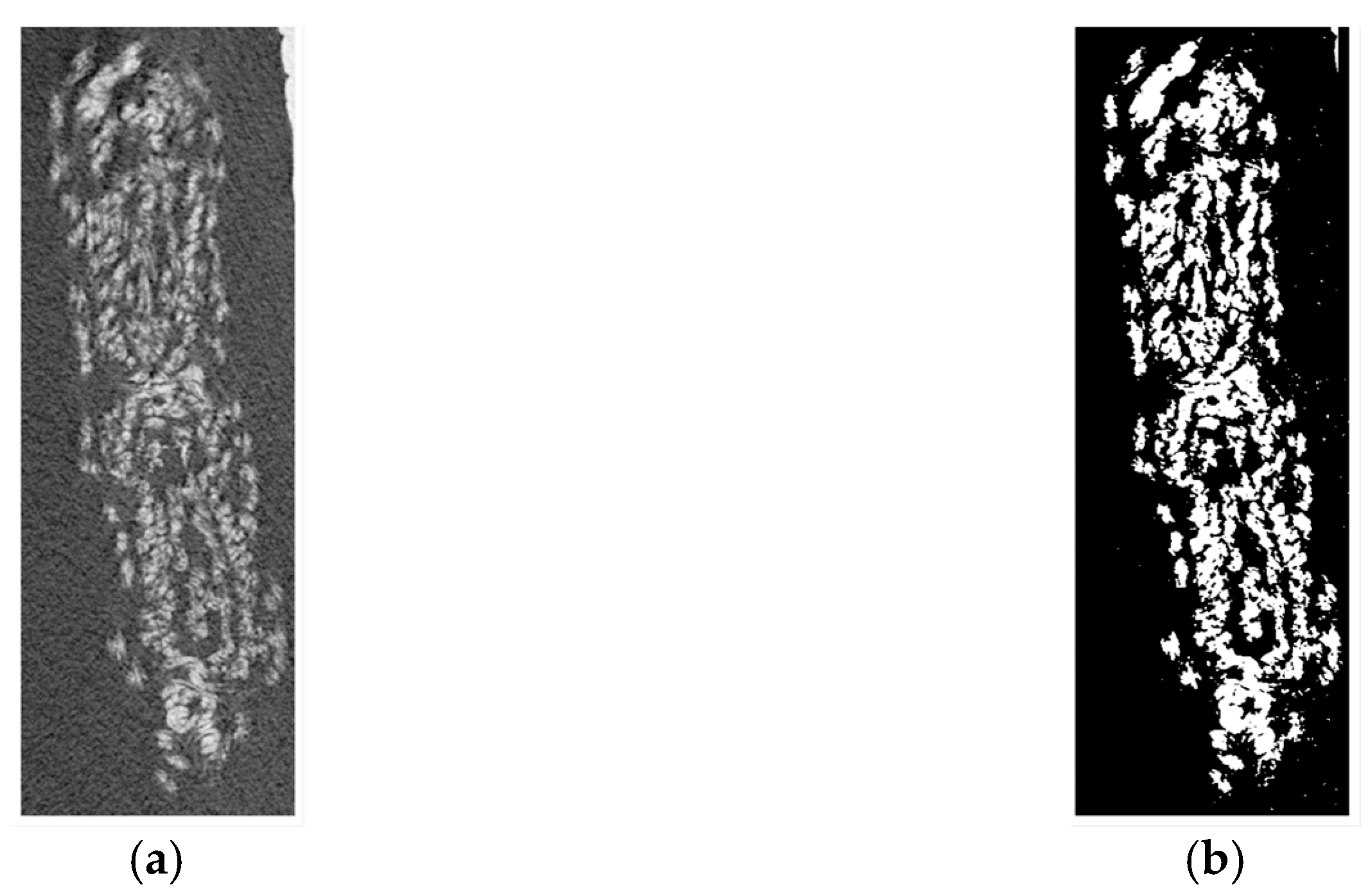 Biomimetics 08 00152 g006