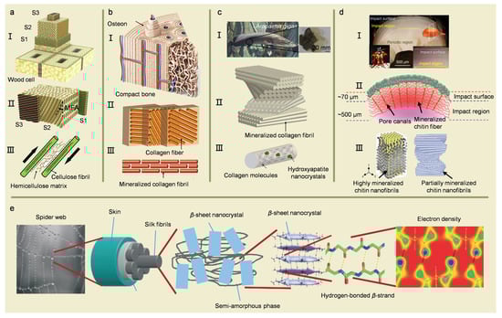 Biomimetics 08 00153 g003