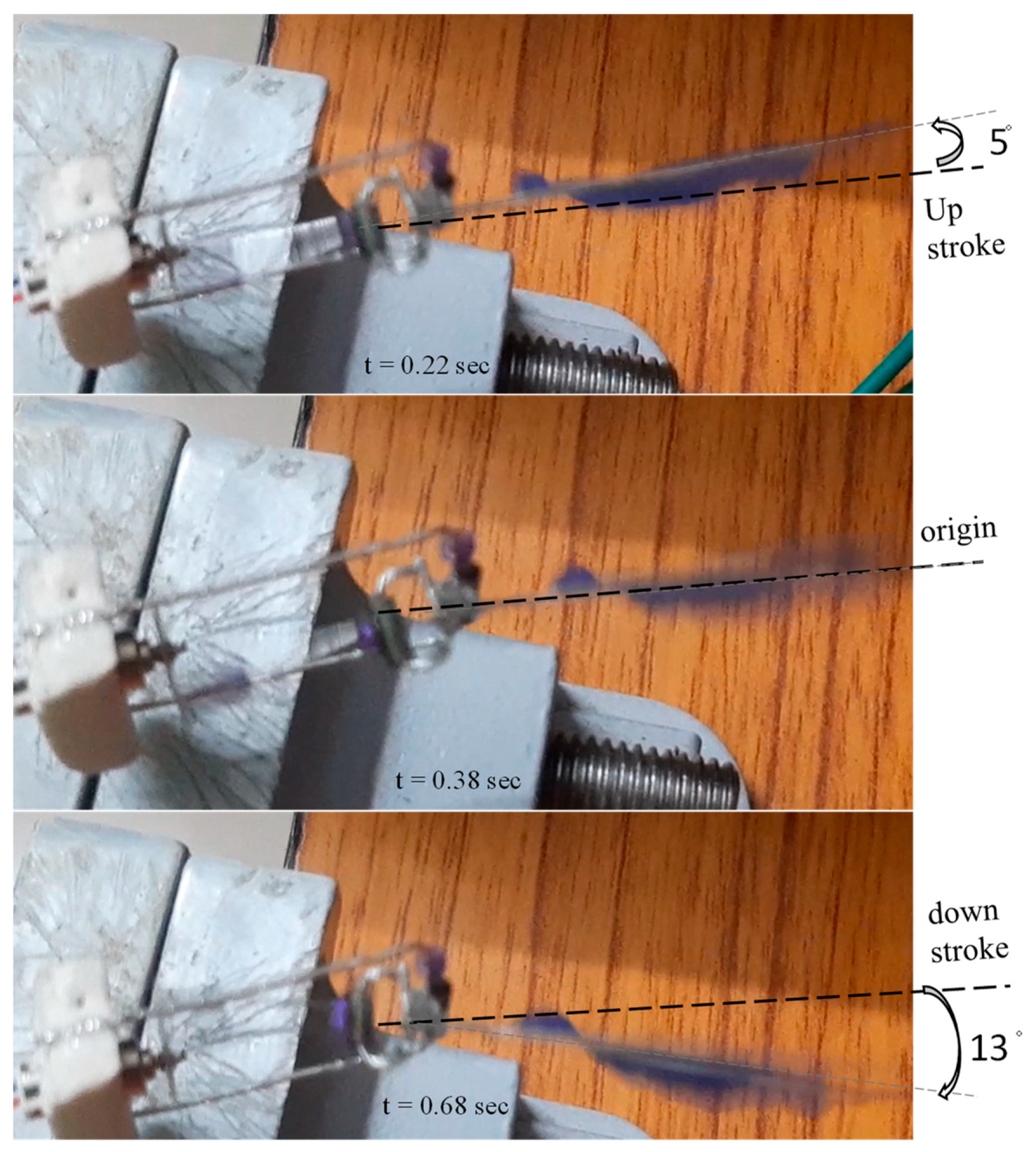 Biomimetics 08 00160 g016