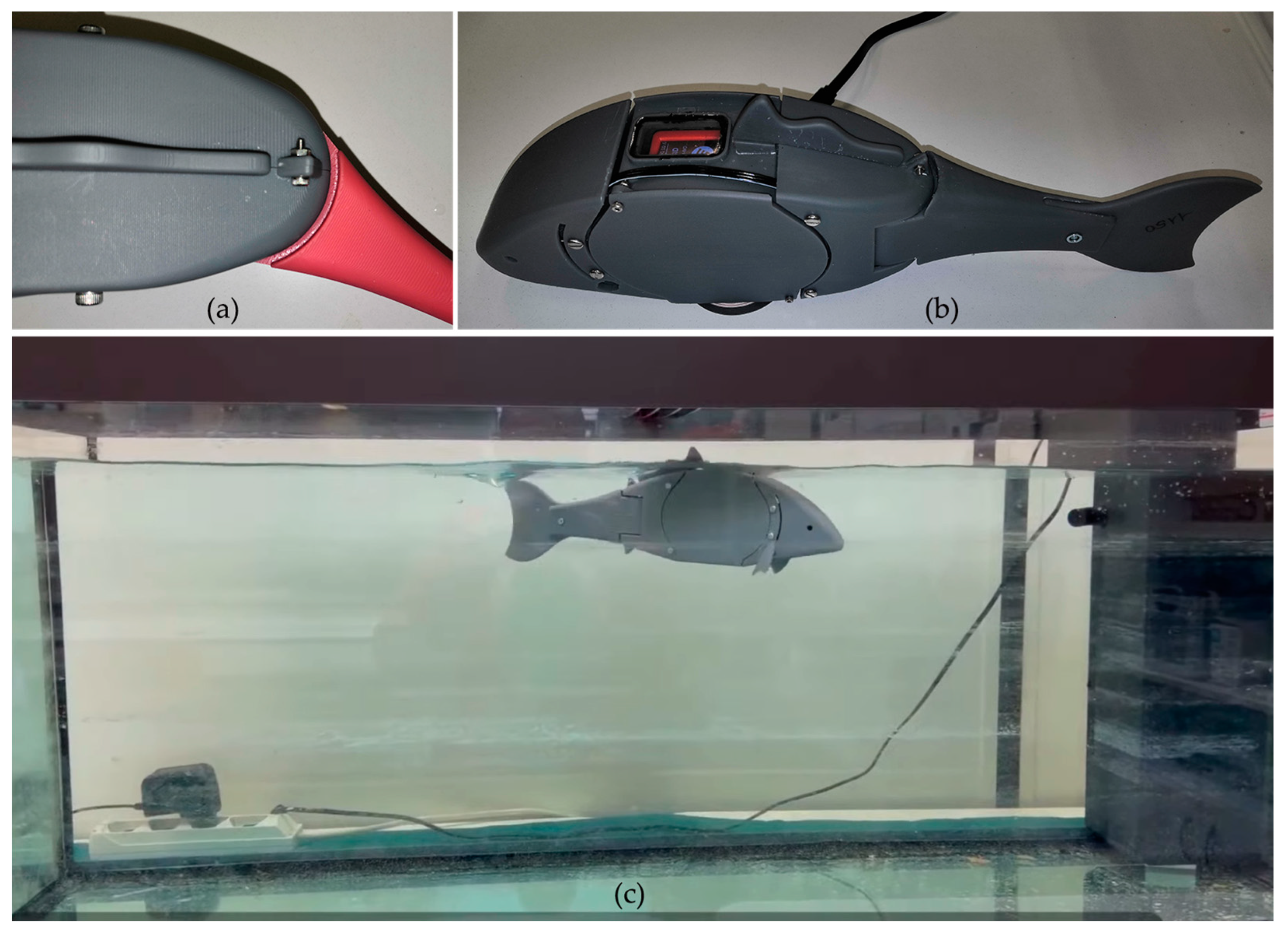 Biomimetics 08 00161 g004