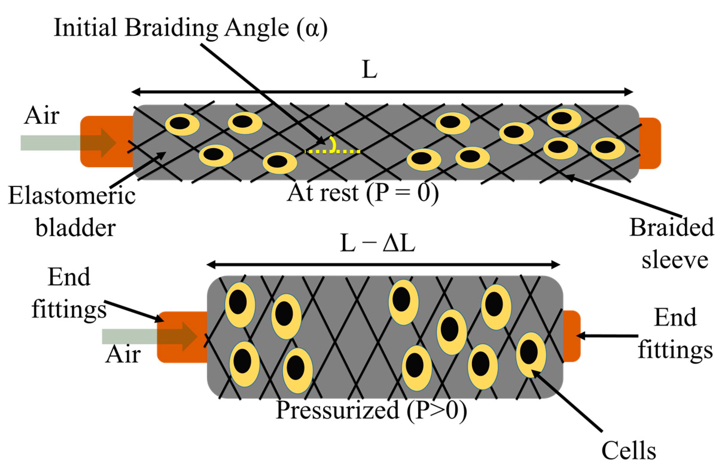 Biomimetics 08 00170 g001