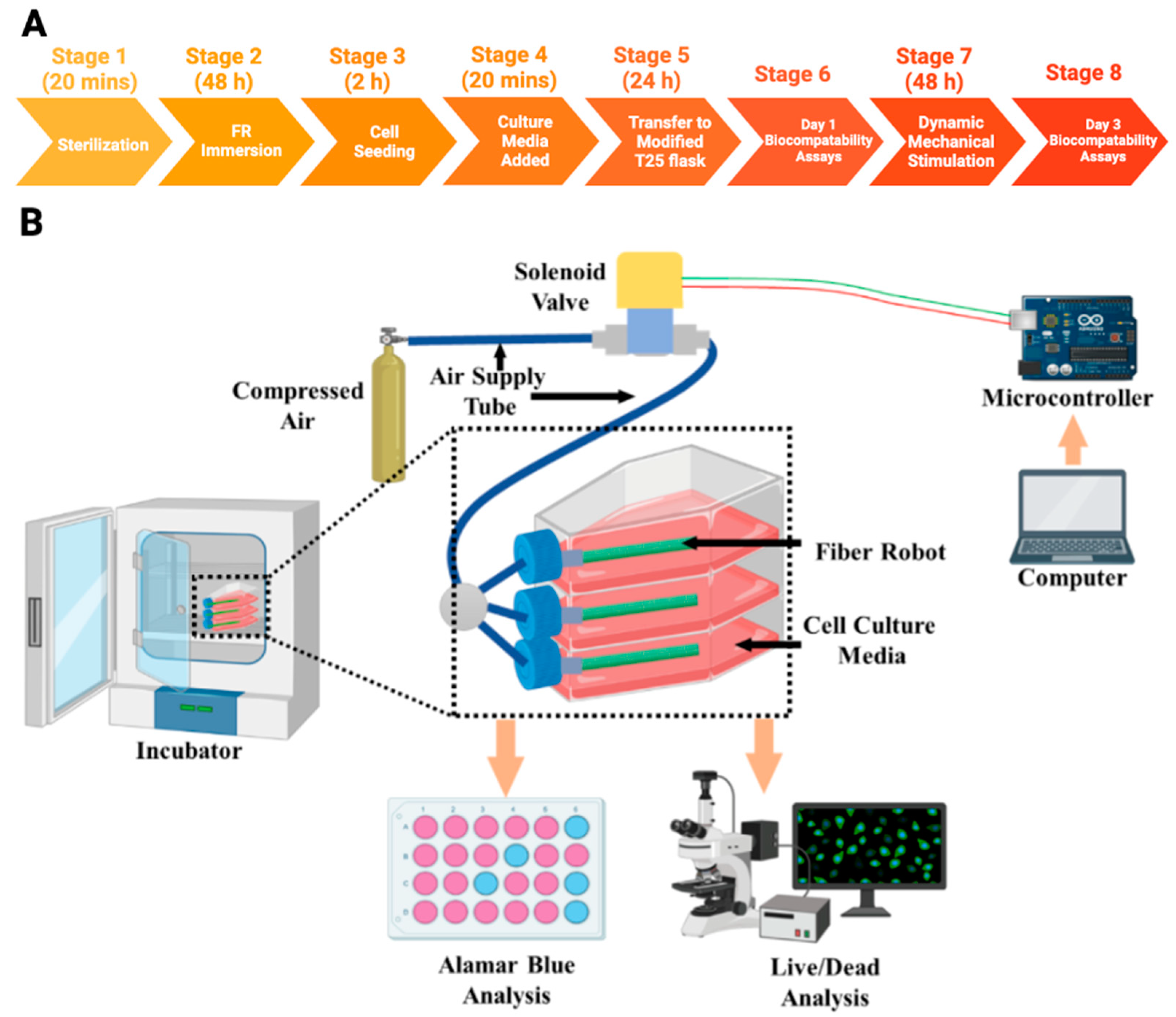 Biomimetics 08 00170 g004