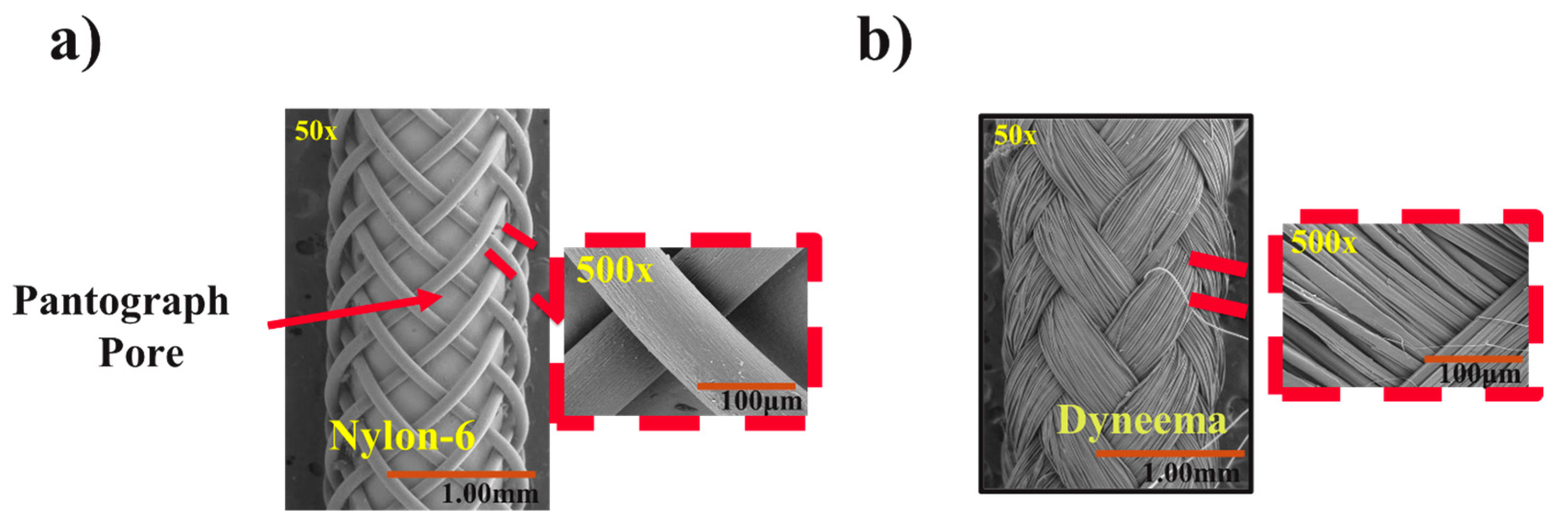 Biomimetics 08 00170 g005