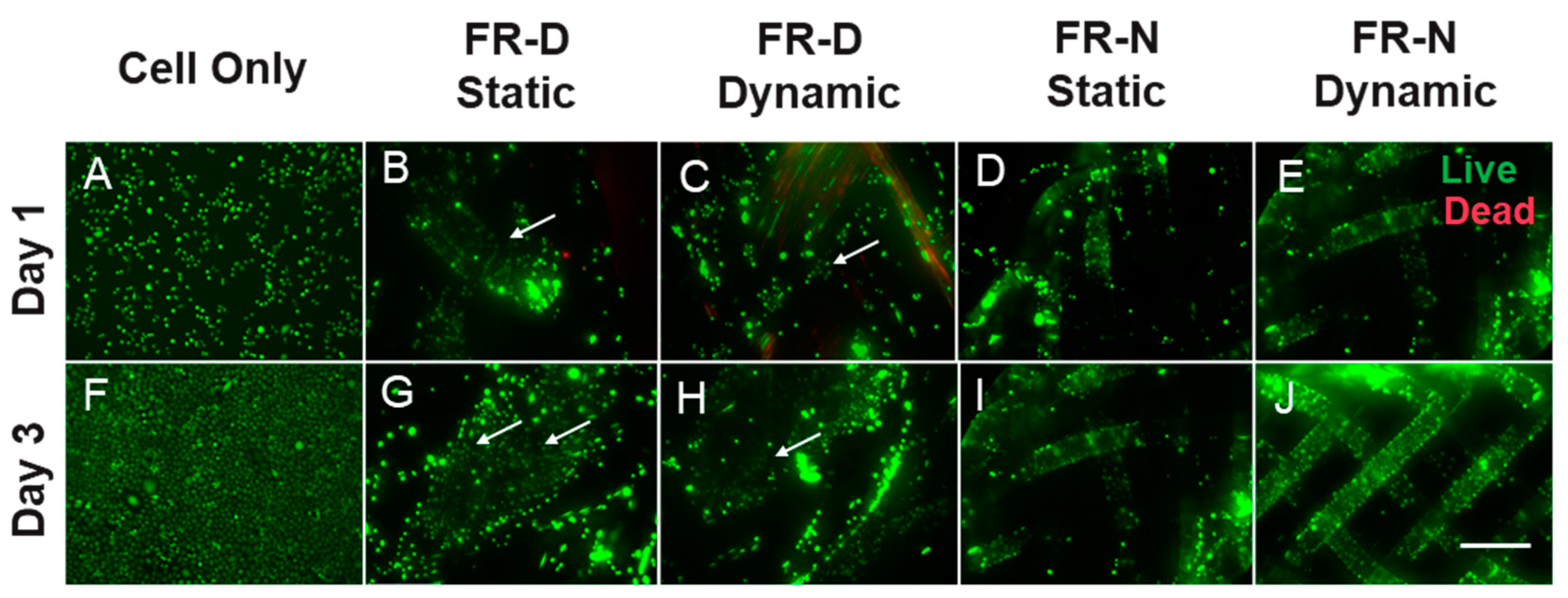 Biomimetics 08 00170 g008