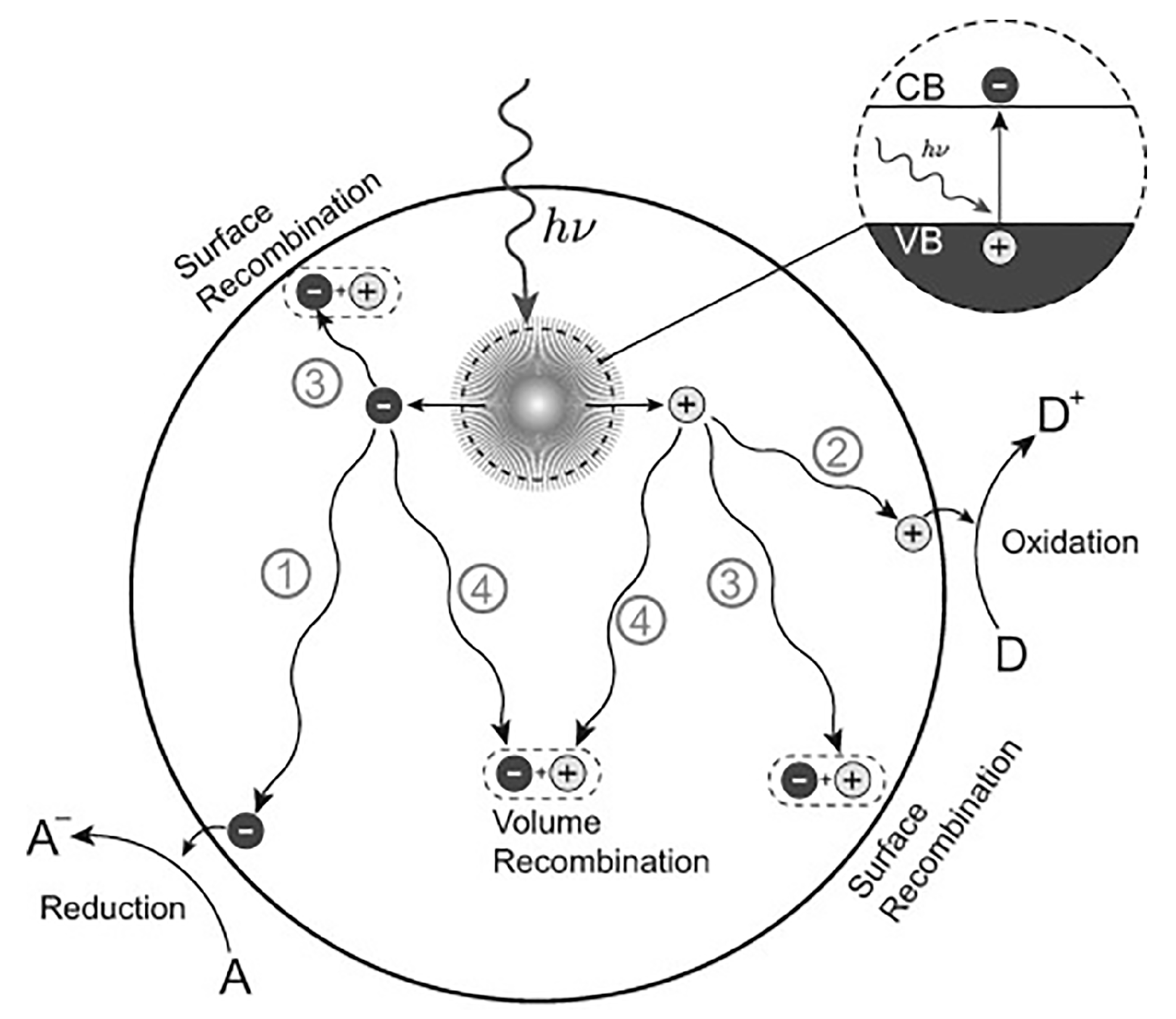 Biomimetics 08 00171 g005