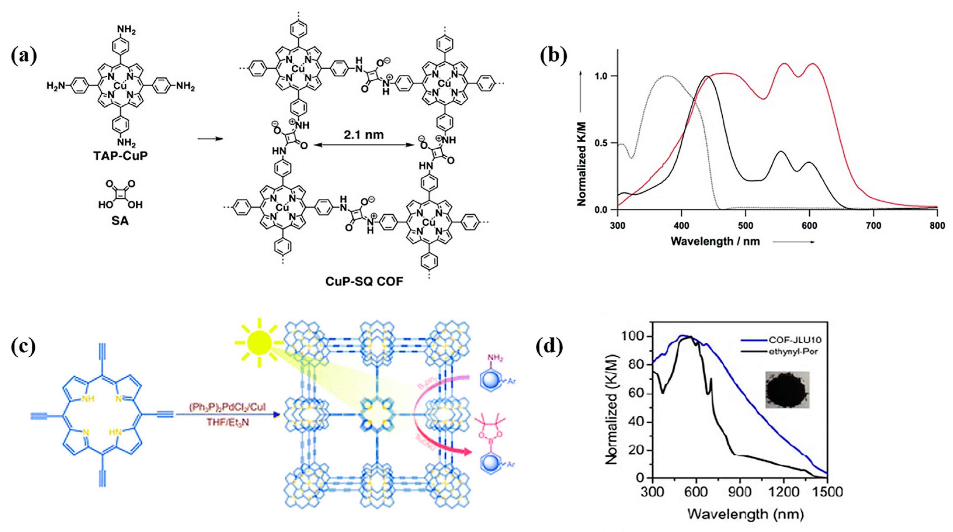 Biomimetics 08 00171 g006