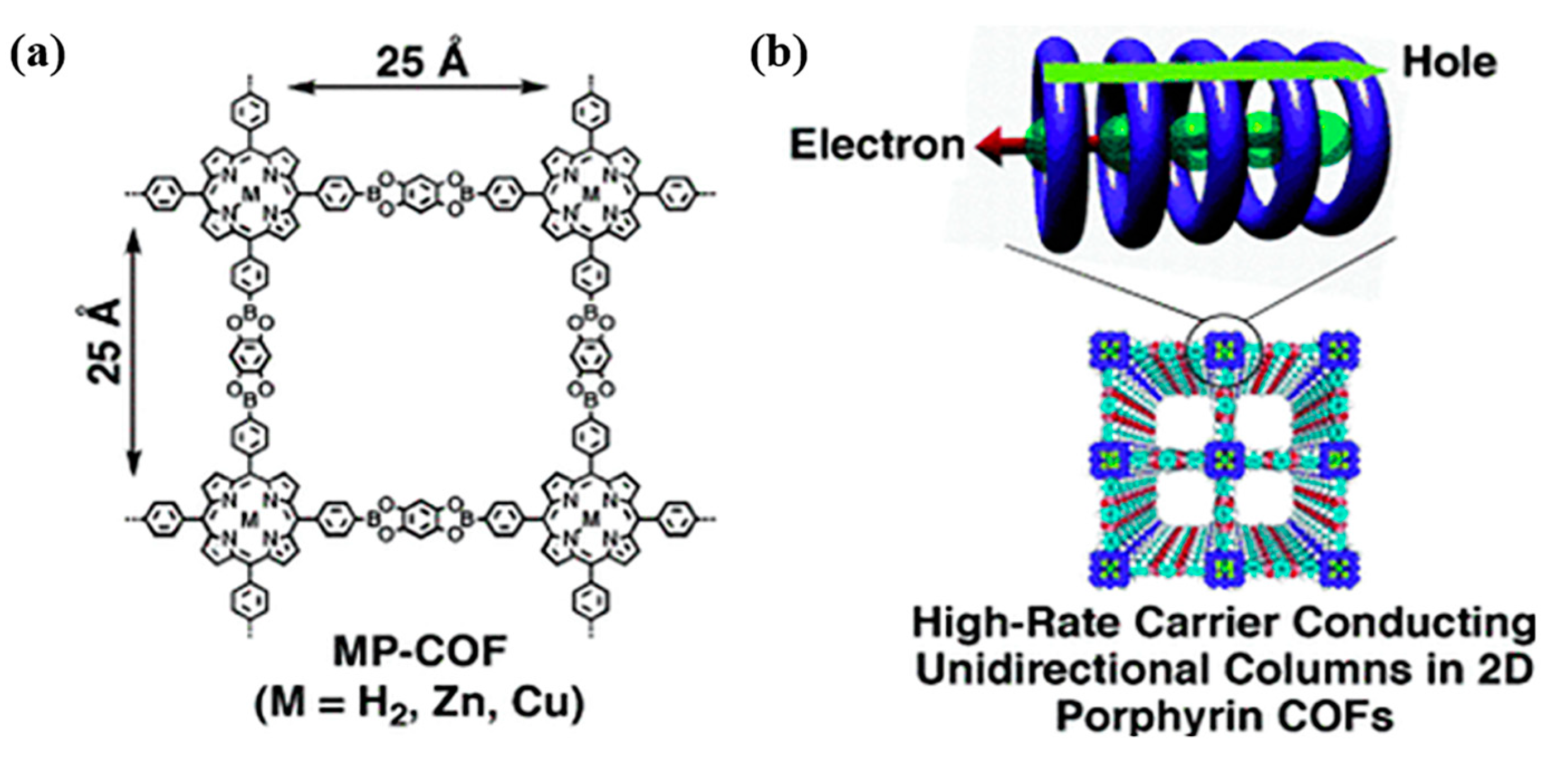 Biomimetics 08 00171 g007