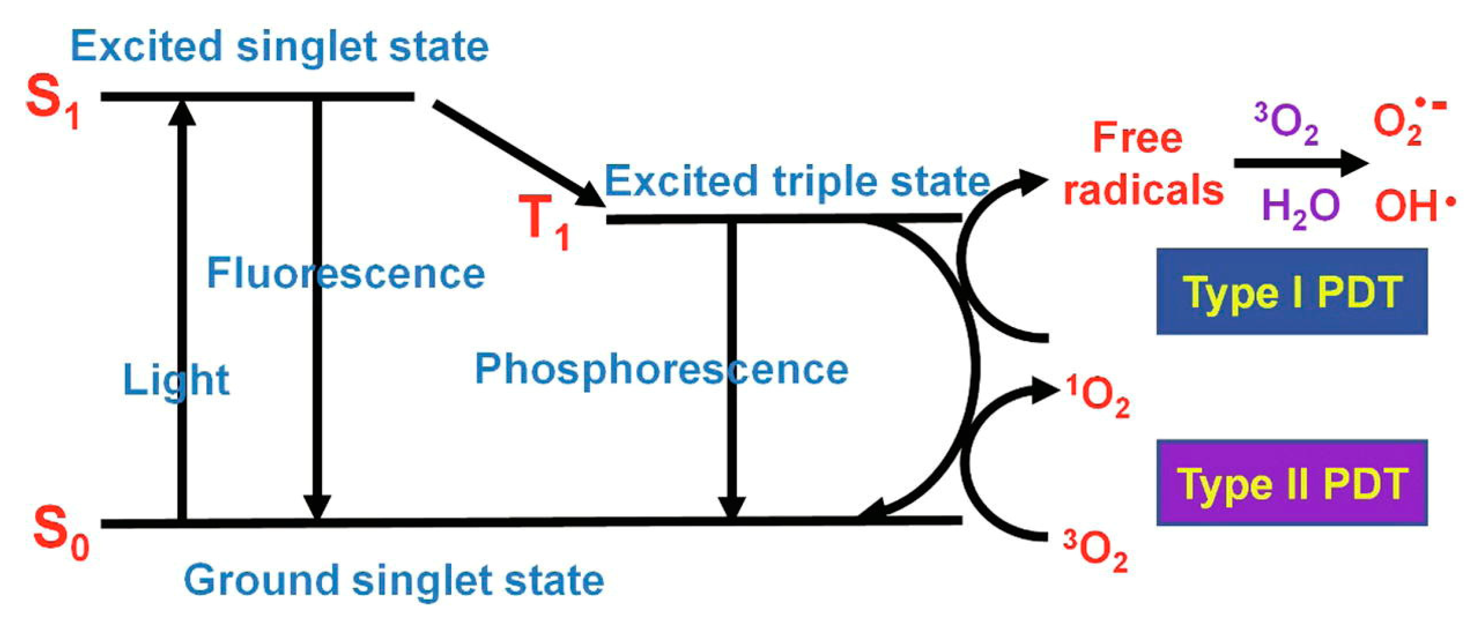 Biomimetics 08 00171 g011