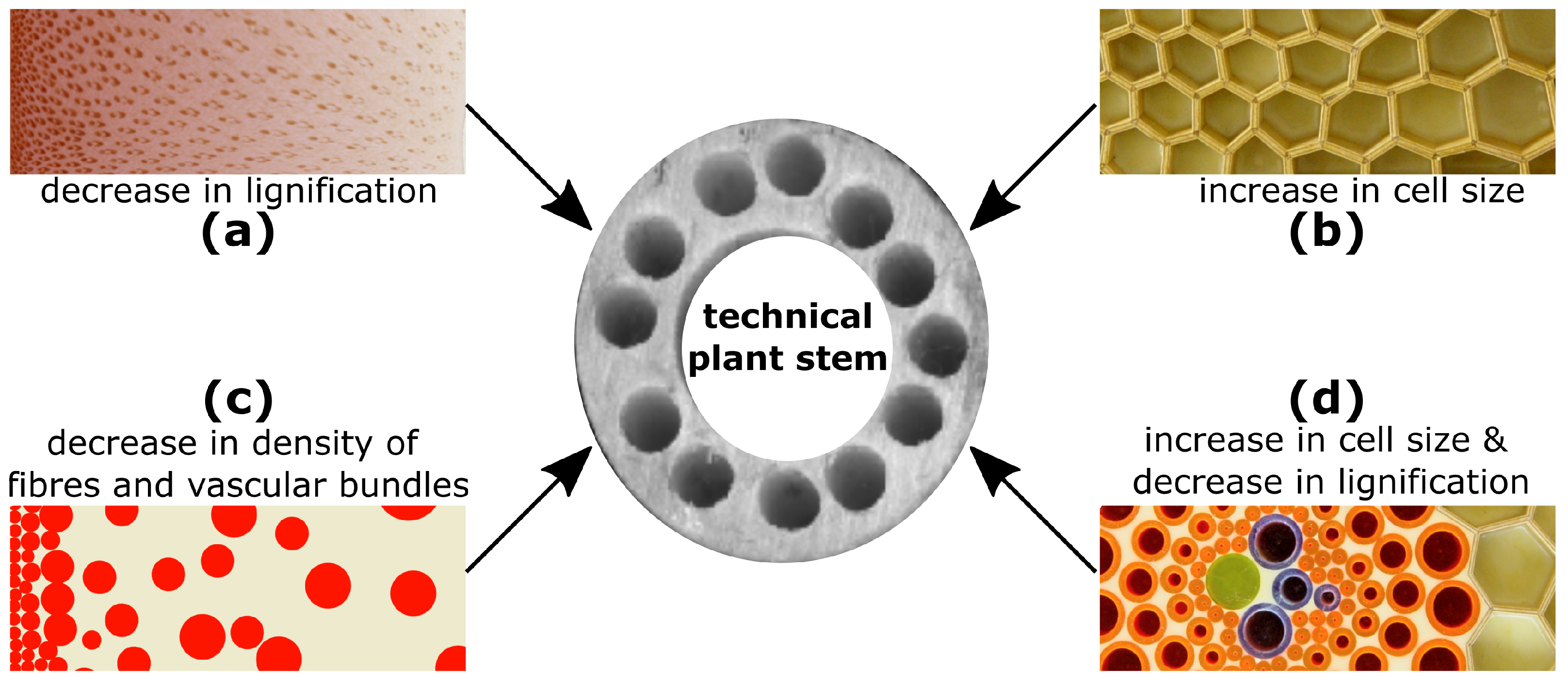 Biomimetics 08 00173 g005 Biomimetics 08 00173 g005