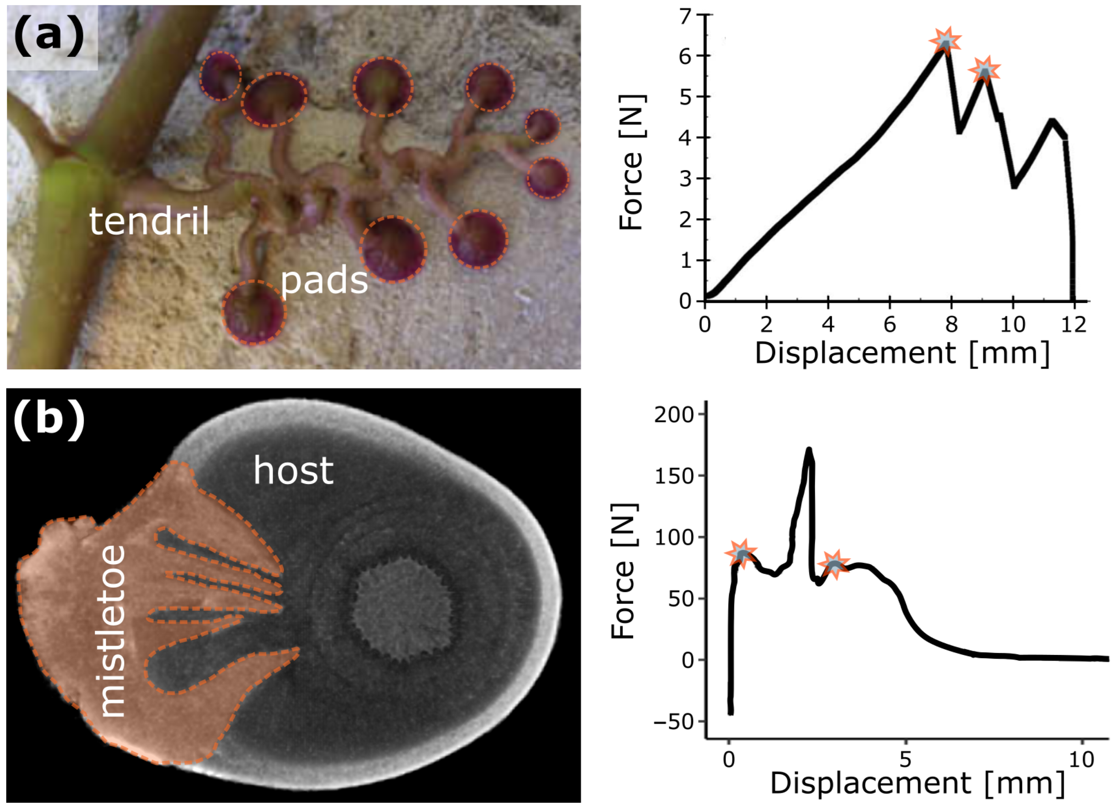 Biomimetics 08 00173 g010 Biomimetics 08 00173 g010