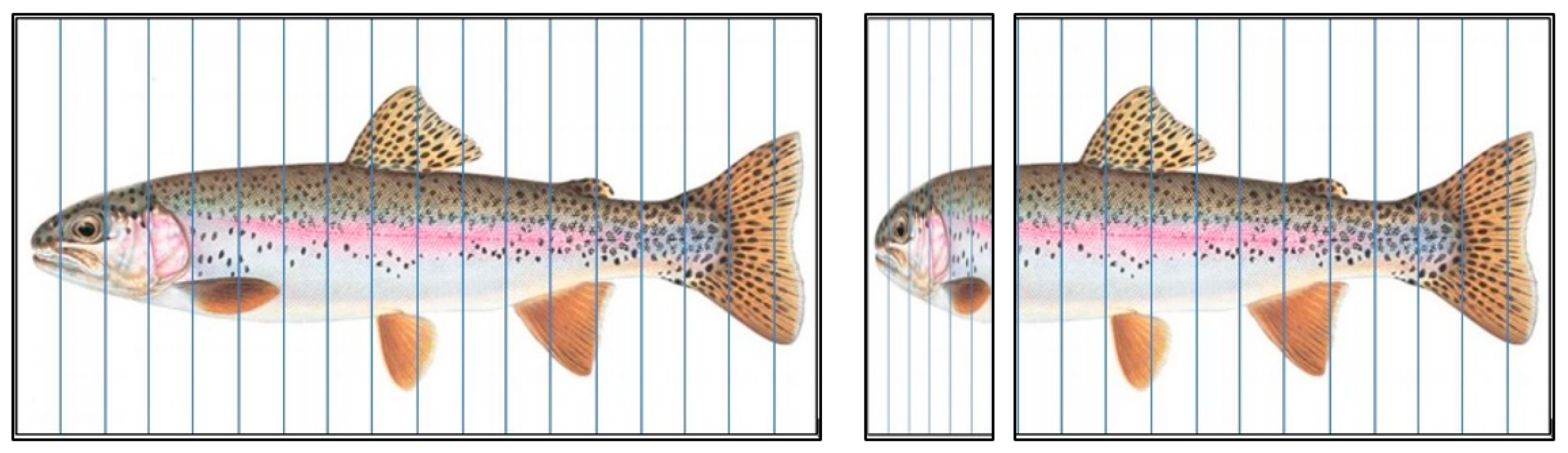 Biomimetics 08 00175 g004