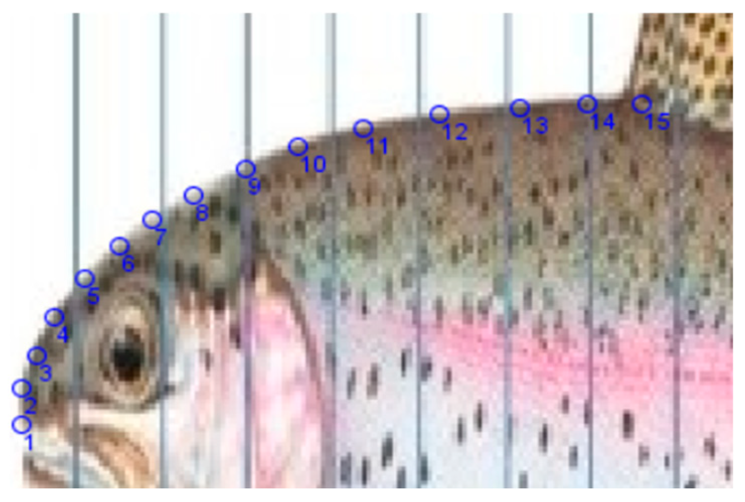 Biomimetics 08 00175 g006