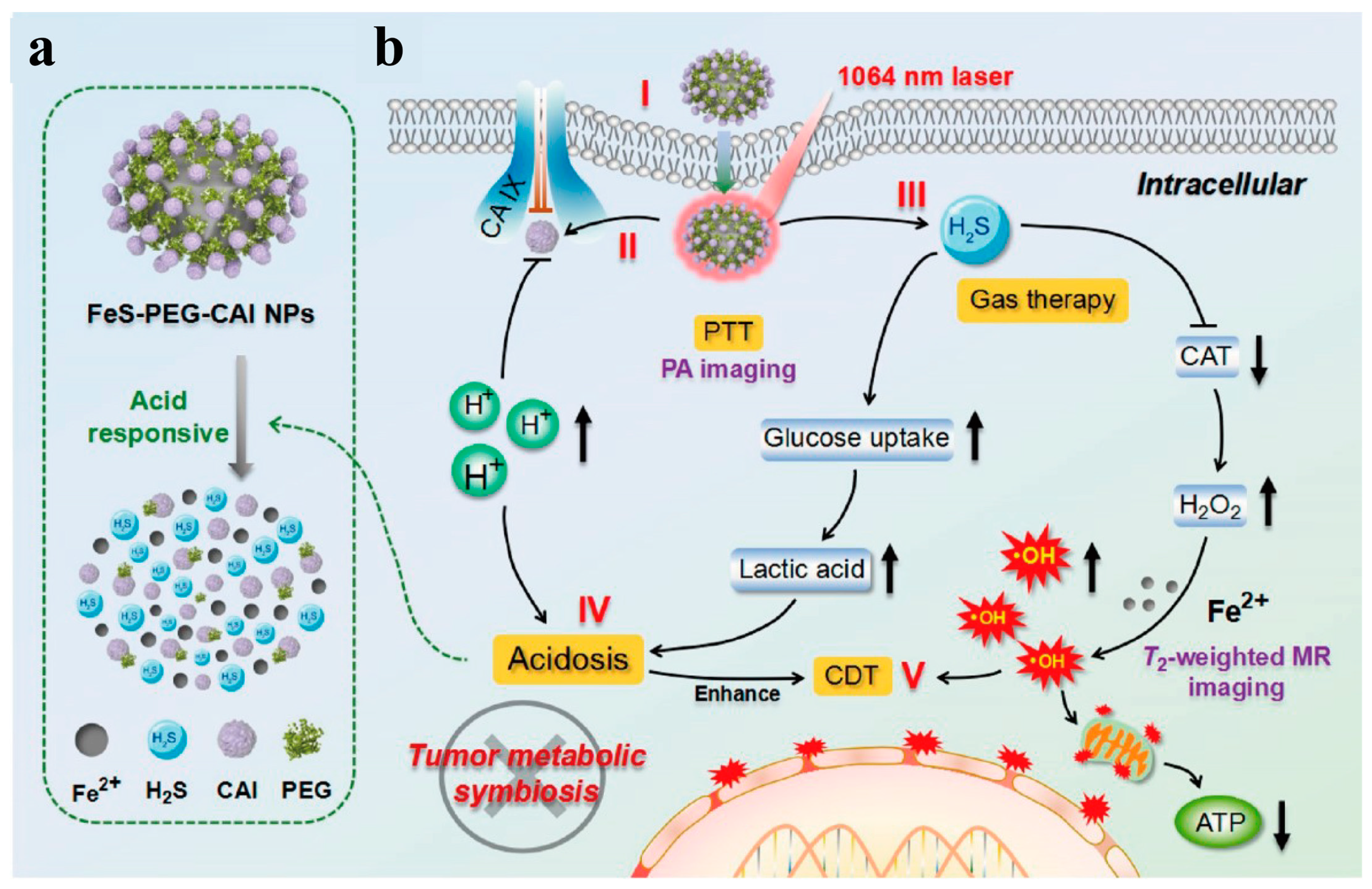 Biomimetics 08 00177 g004