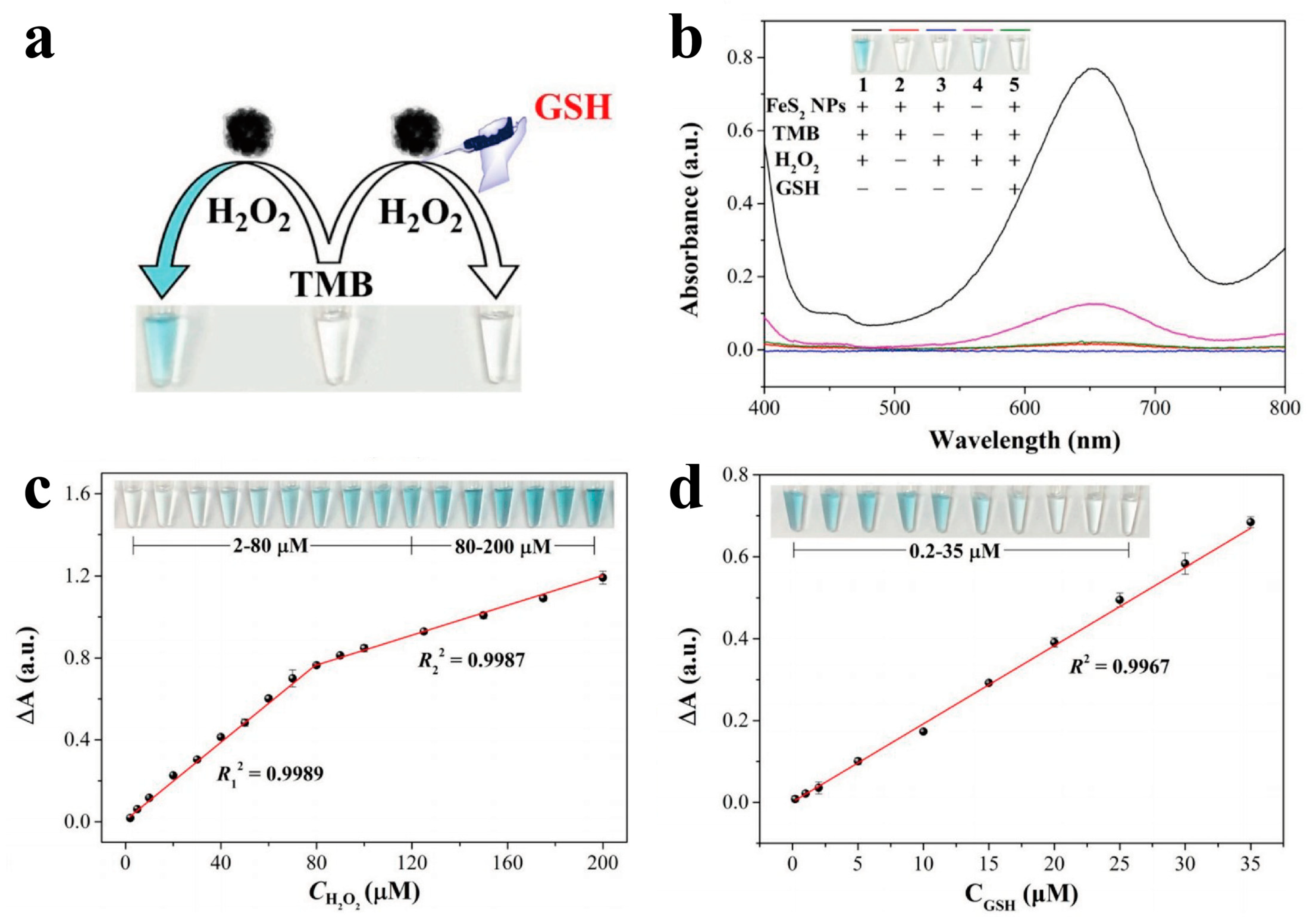 Biomimetics 08 00177 g005