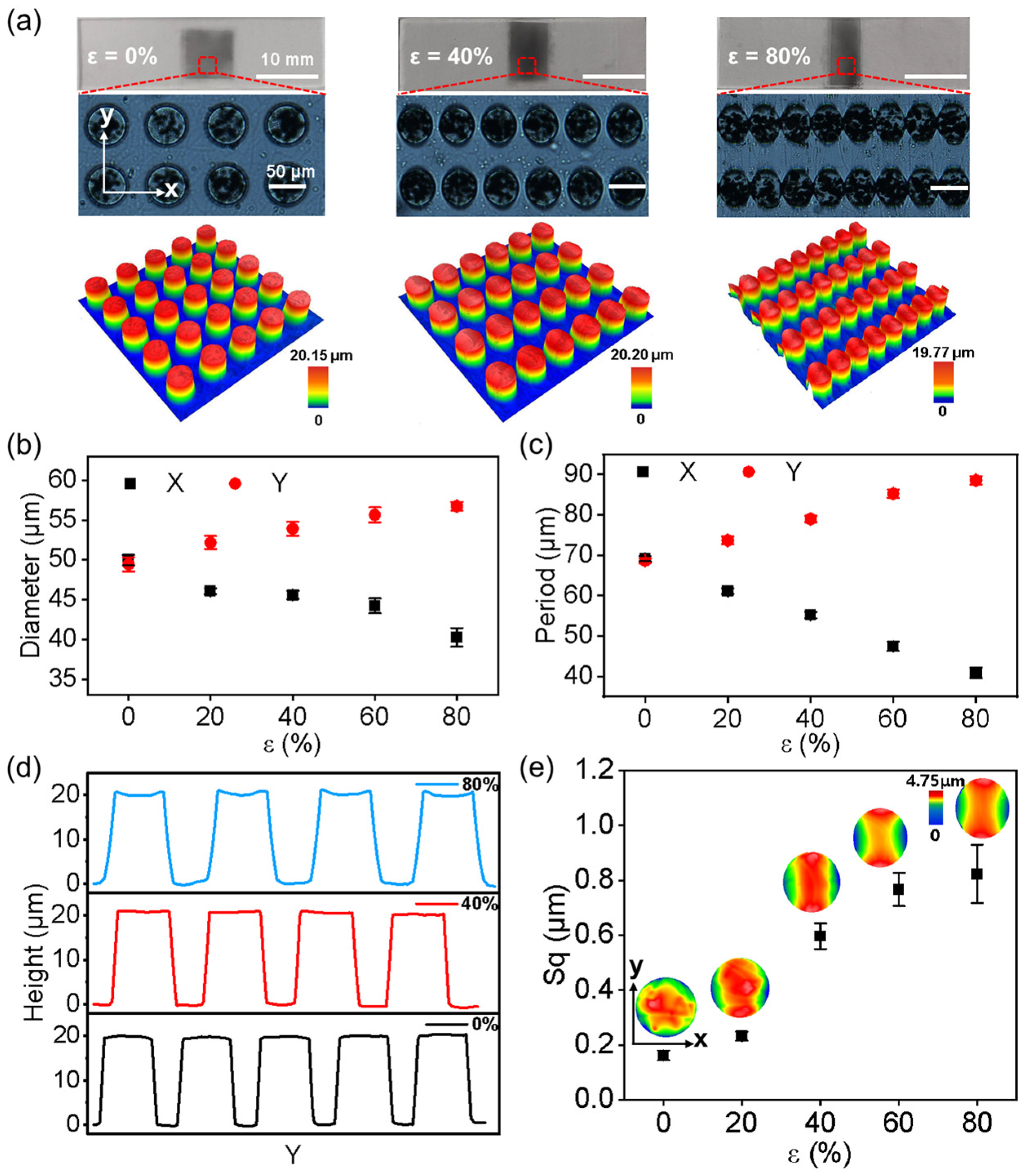 Biomimetics 08 00180 g002
