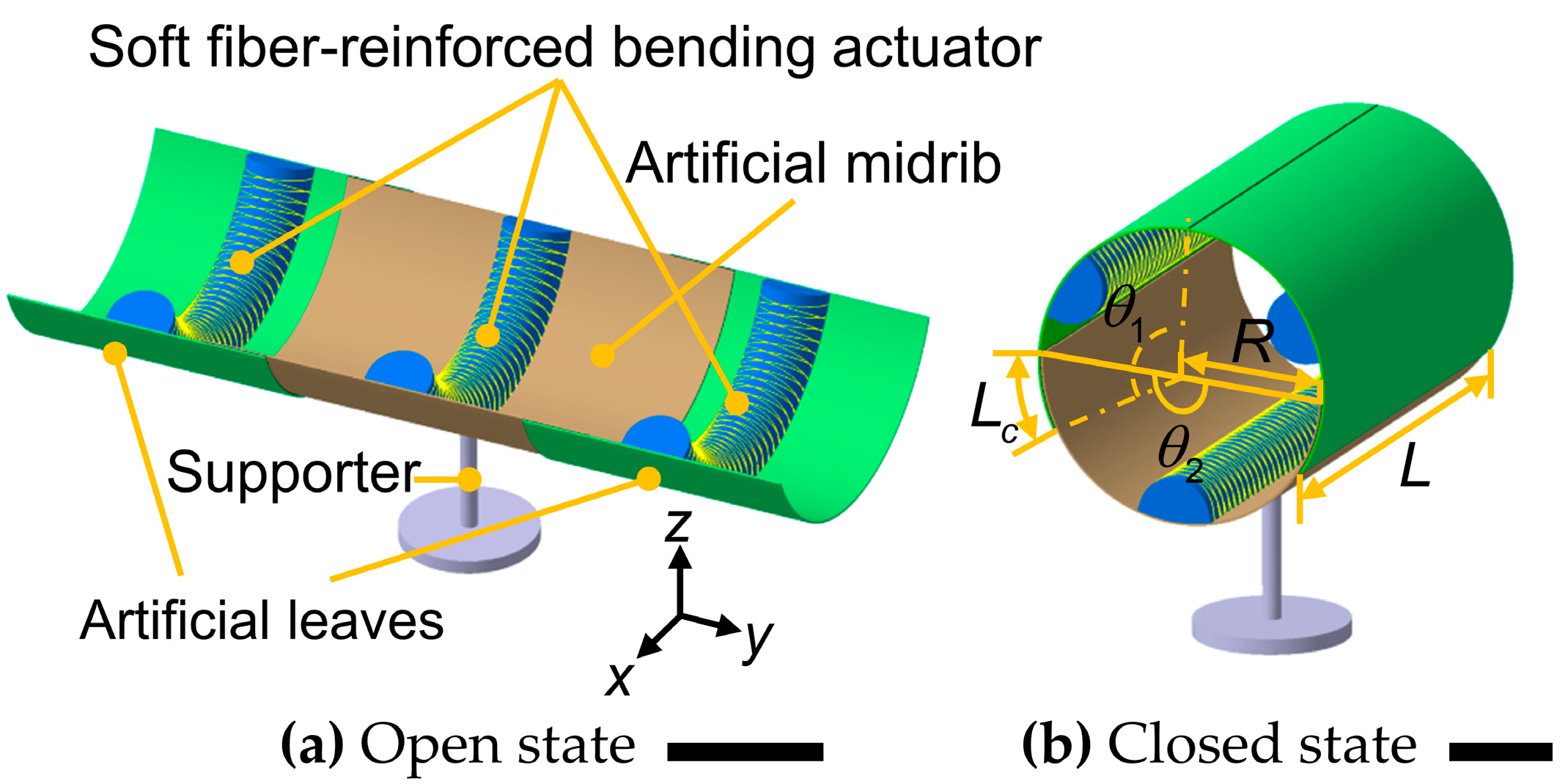 Biomimetics 08 00181 g004