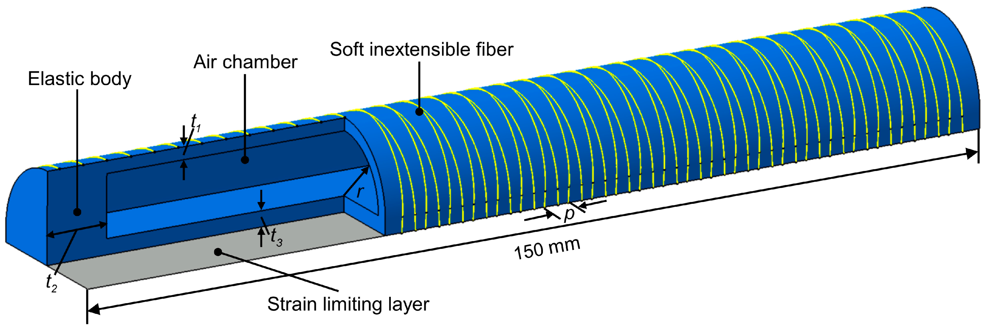 Biomimetics 08 00181 g005