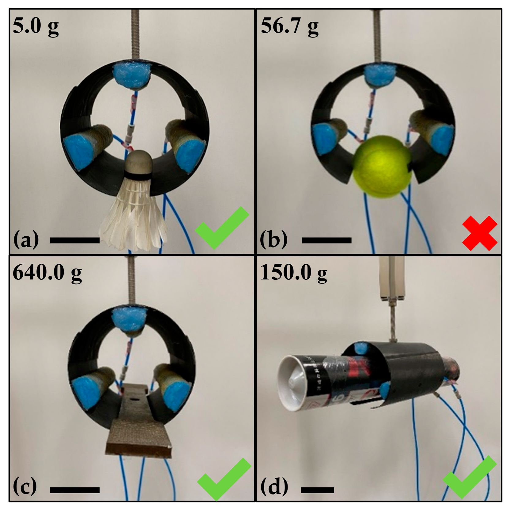 Biomimetics 08 00181 g009