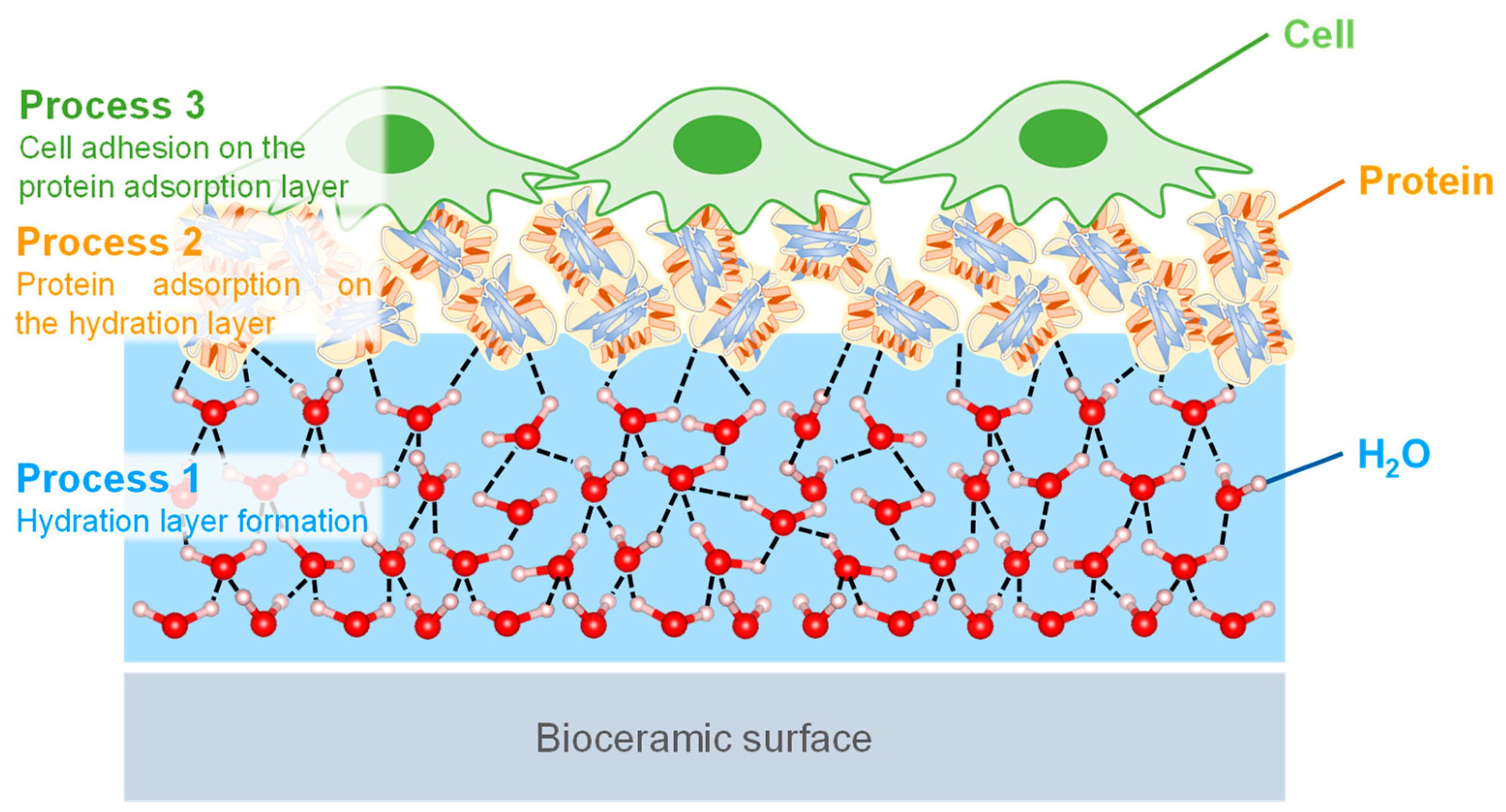 Biomimetics 08 00184 g007 Biomimetics 08 00184 g007