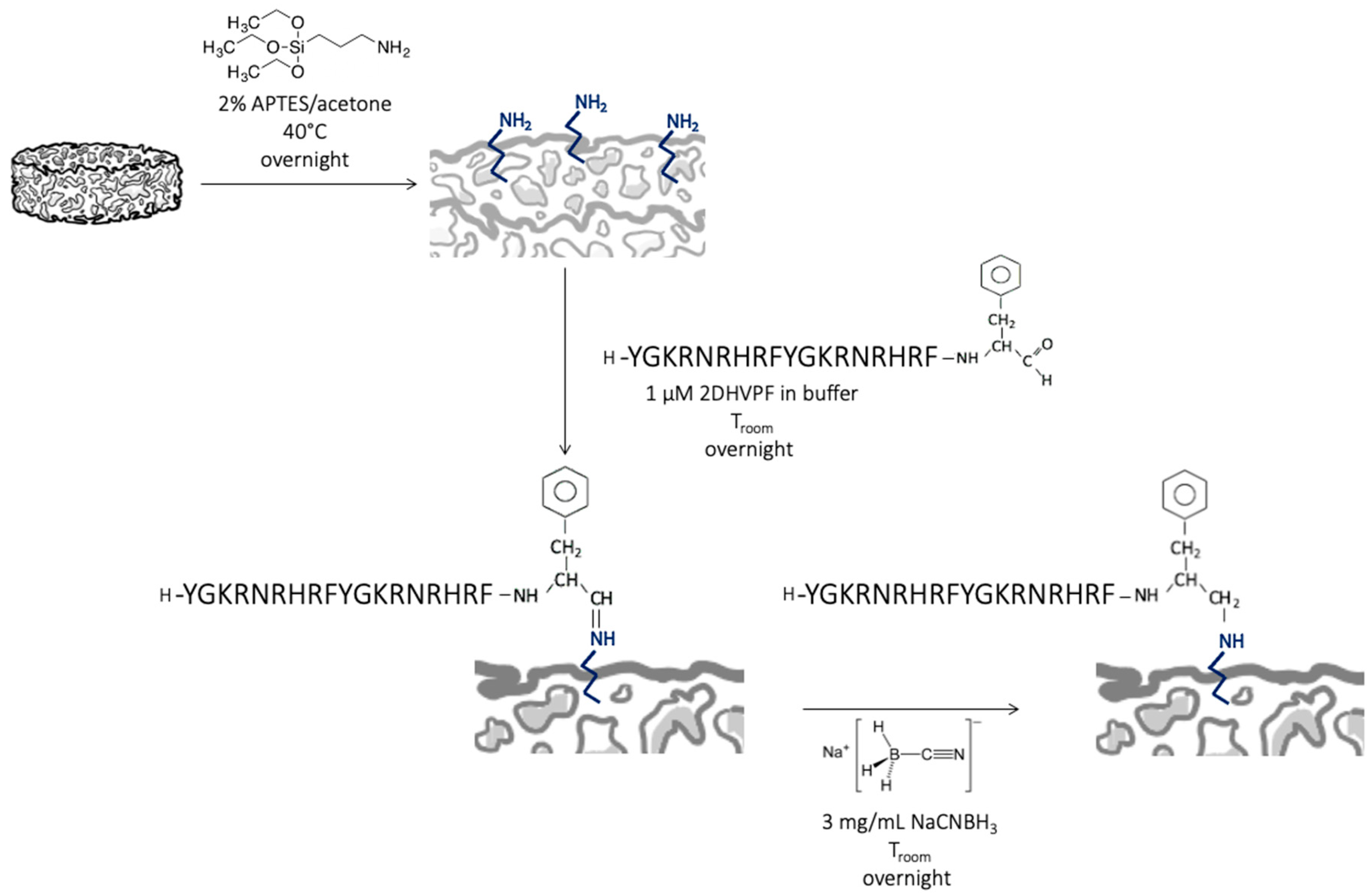 Biomimetics 08 00185 g003