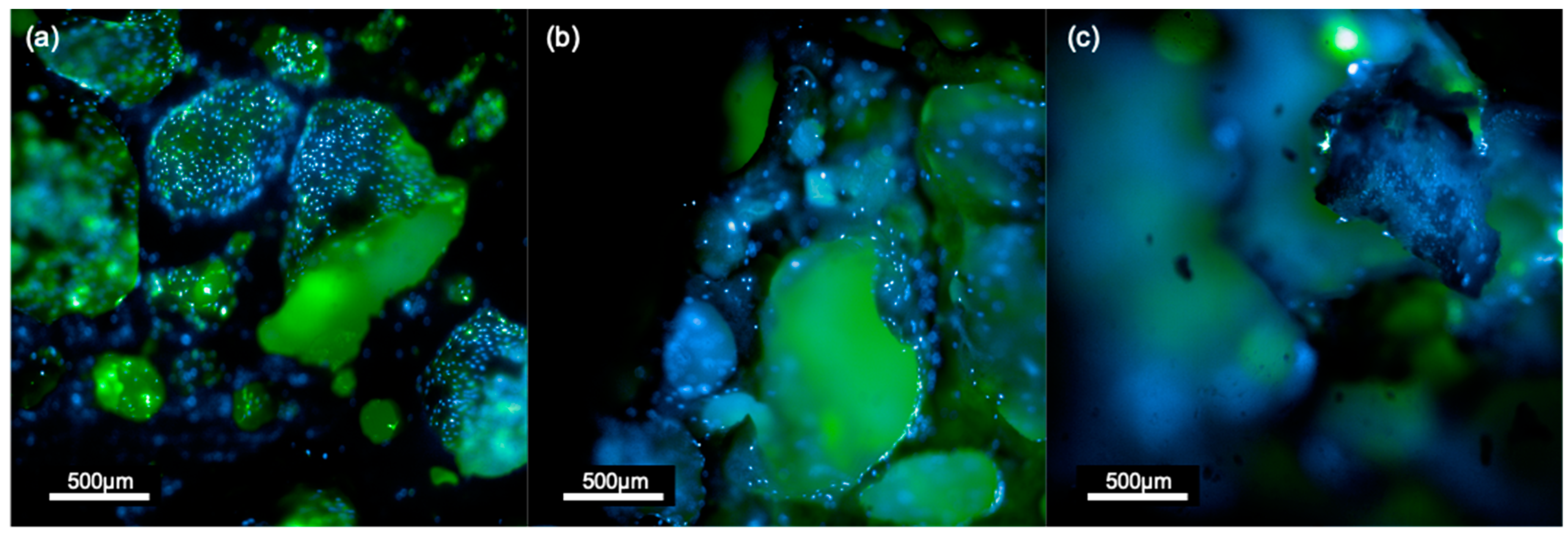 Biomimetics 08 00185 g006