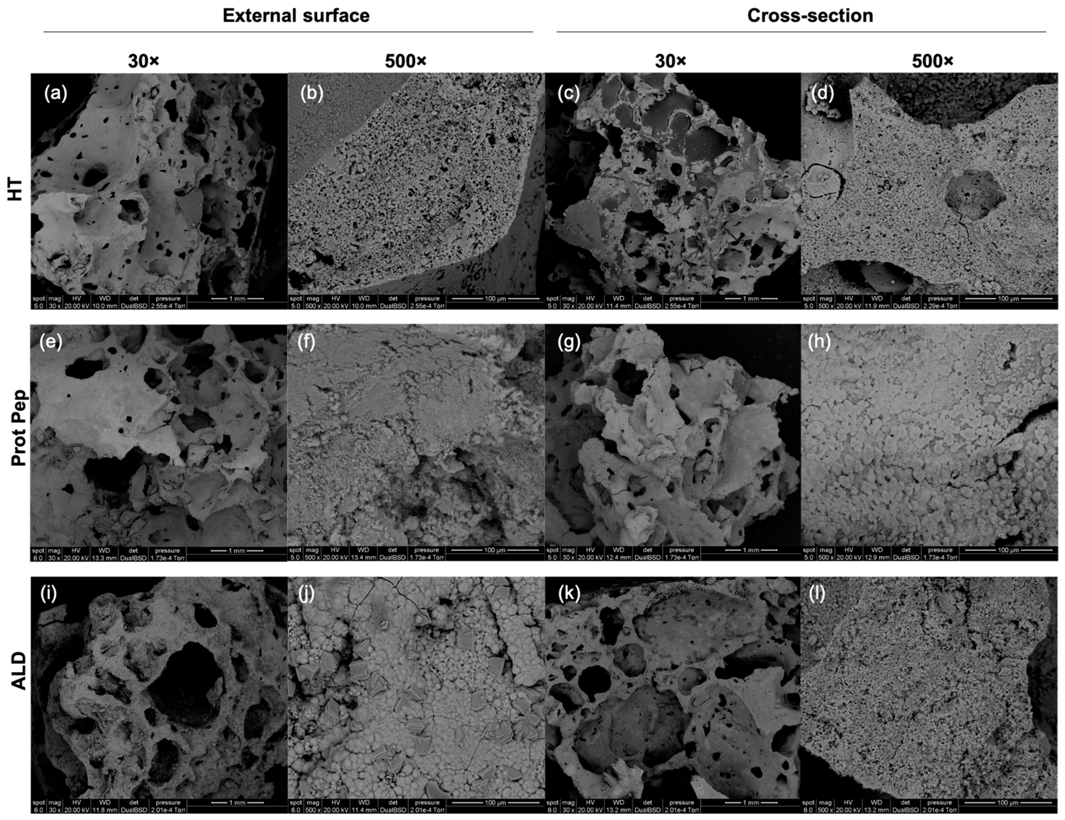 Biomimetics 08 00185 g010