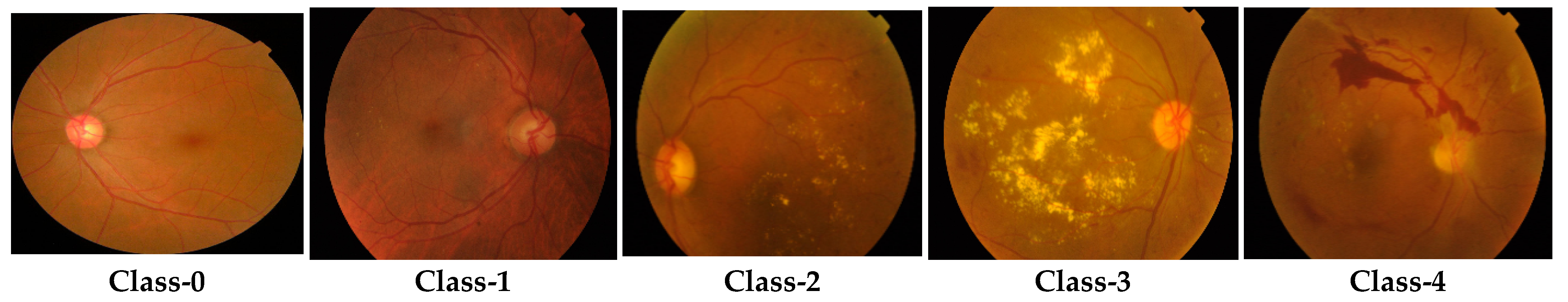 Biomimetics 08 00187 g001 Biomimetics 08 00187 g001