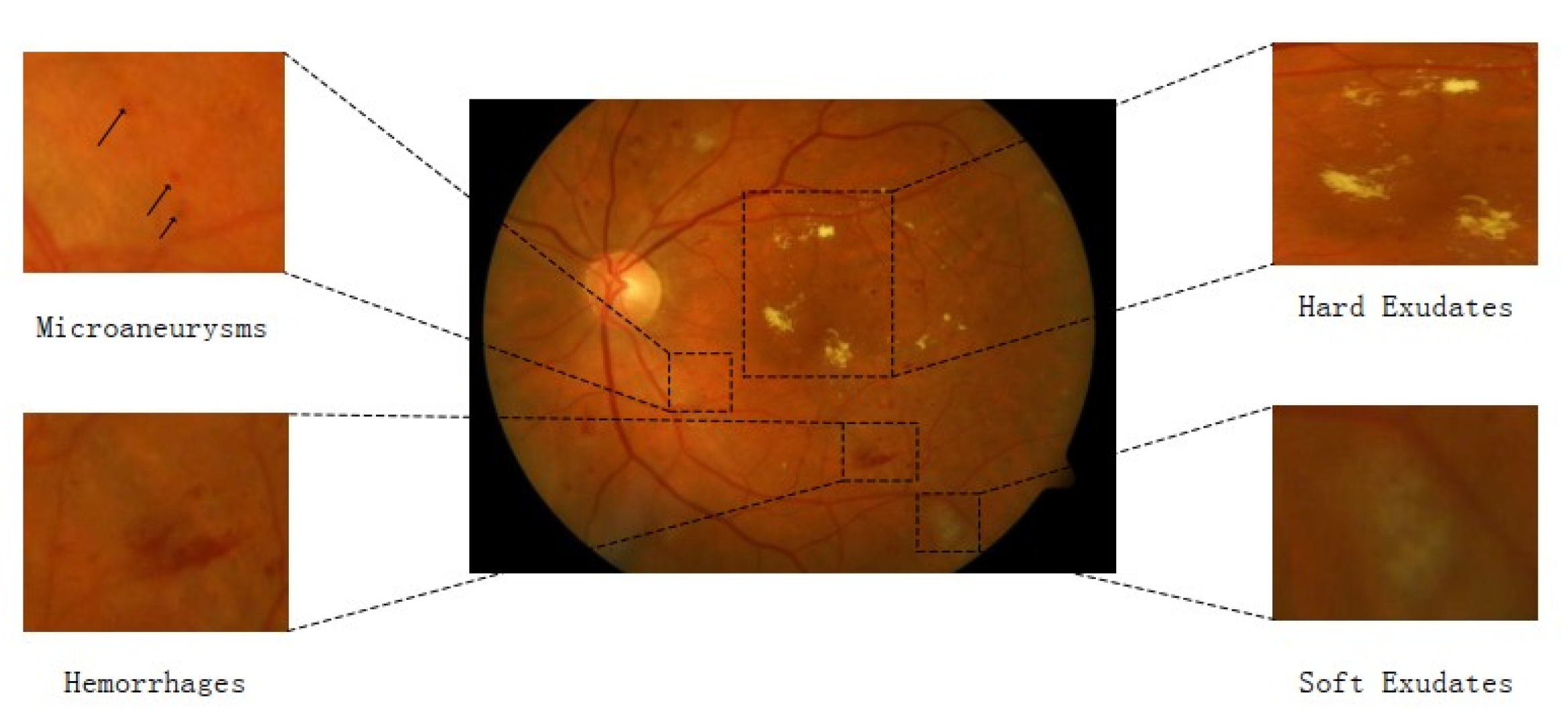 Biomimetics 08 00187 g002 Biomimetics 08 00187 g002