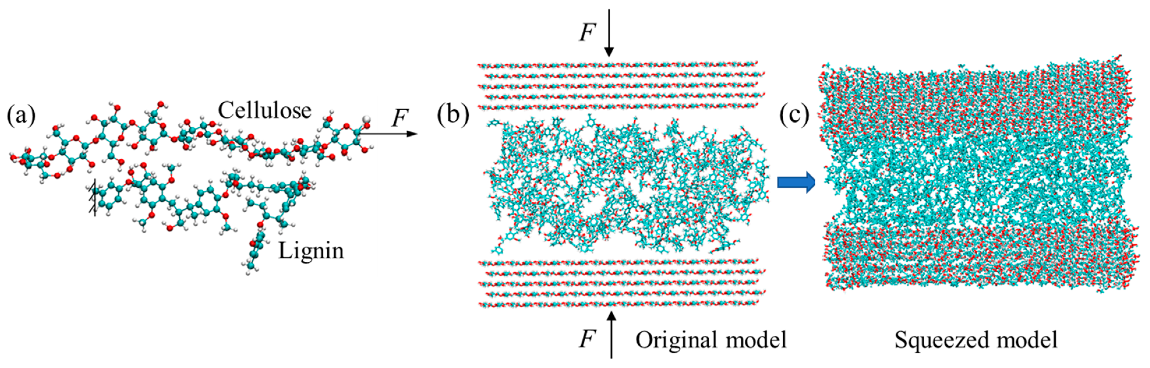 Biomimetics 08 00188 g003