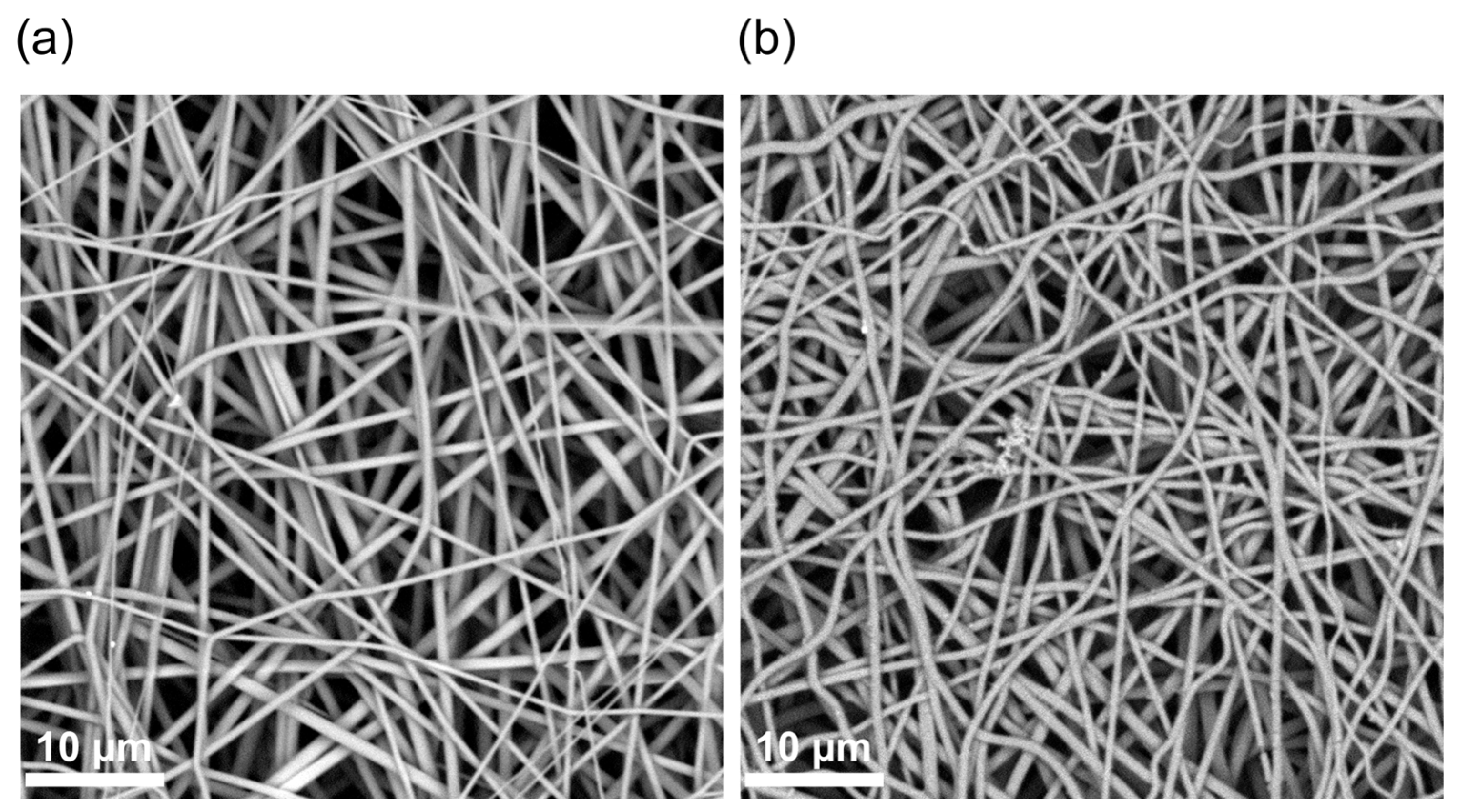 Biomimetics 08 00189 g001 Biomimetics 08 00189 g001
