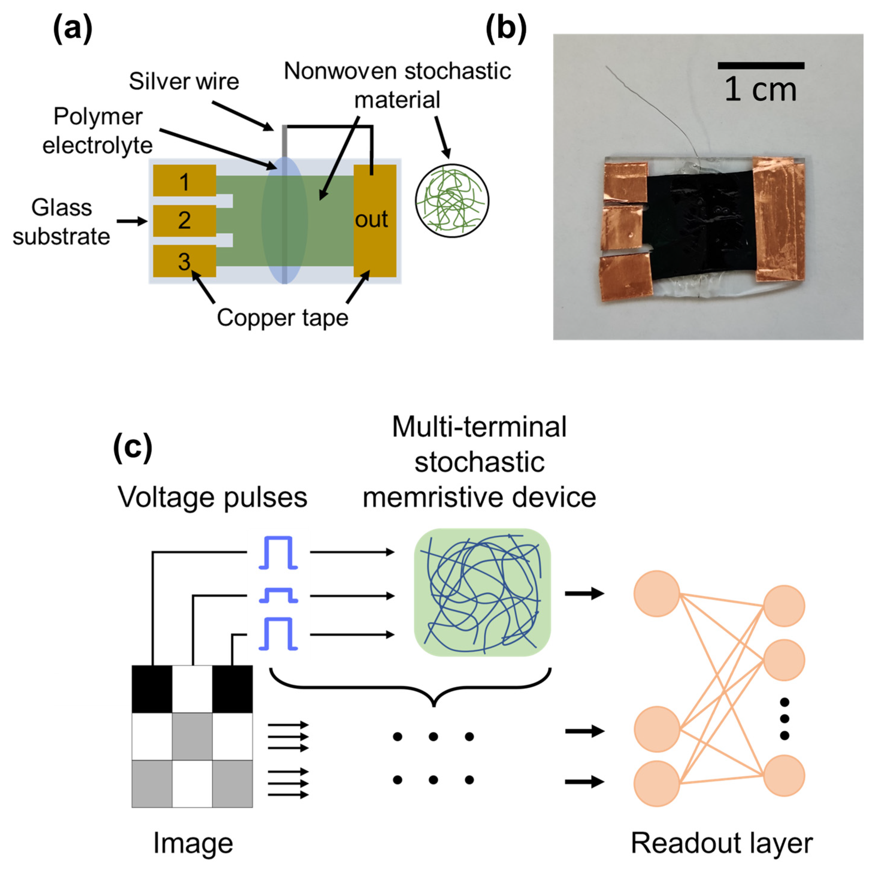 Biomimetics 08 00189 g003 Biomimetics 08 00189 g003