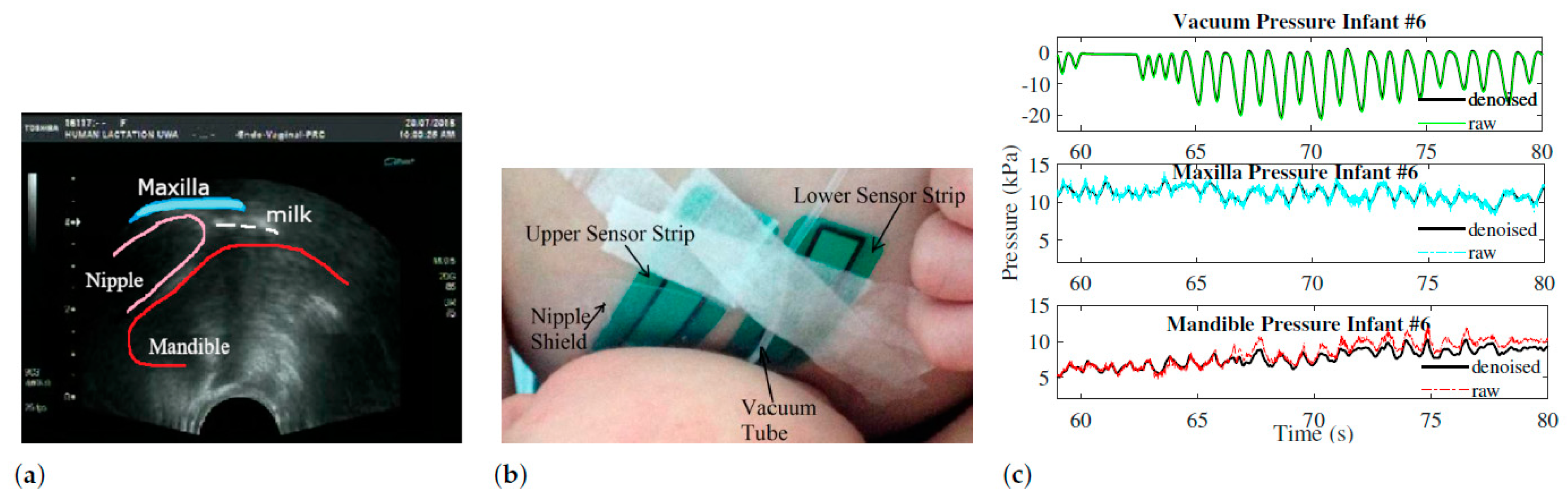 Biomimetics 08 00190 g001