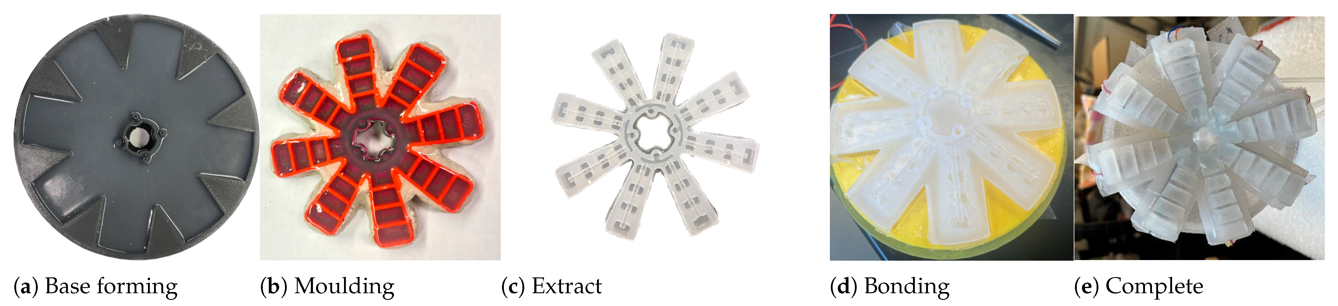 Biomimetics 08 00190 g004