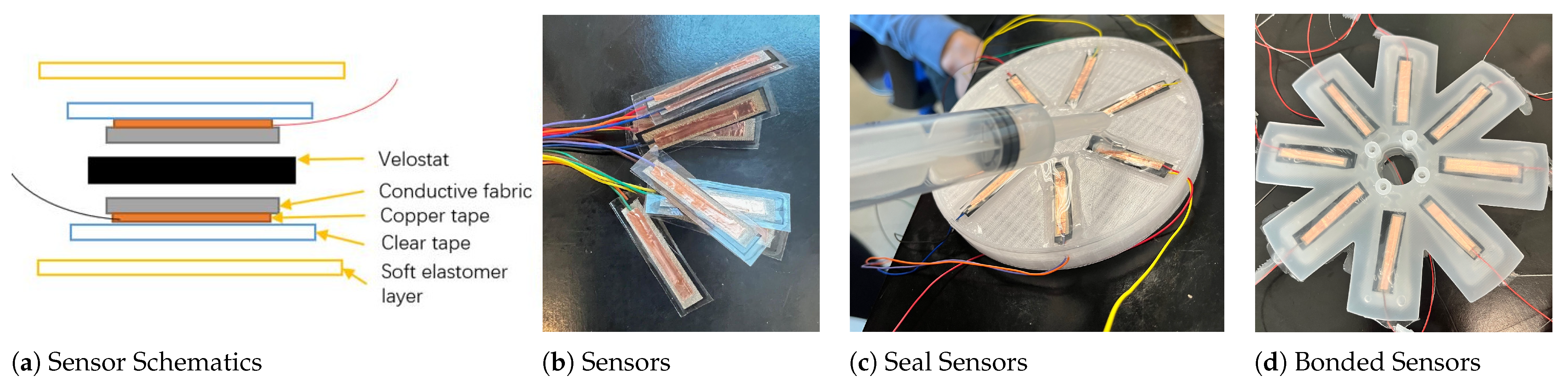 Biomimetics 08 00190 g005