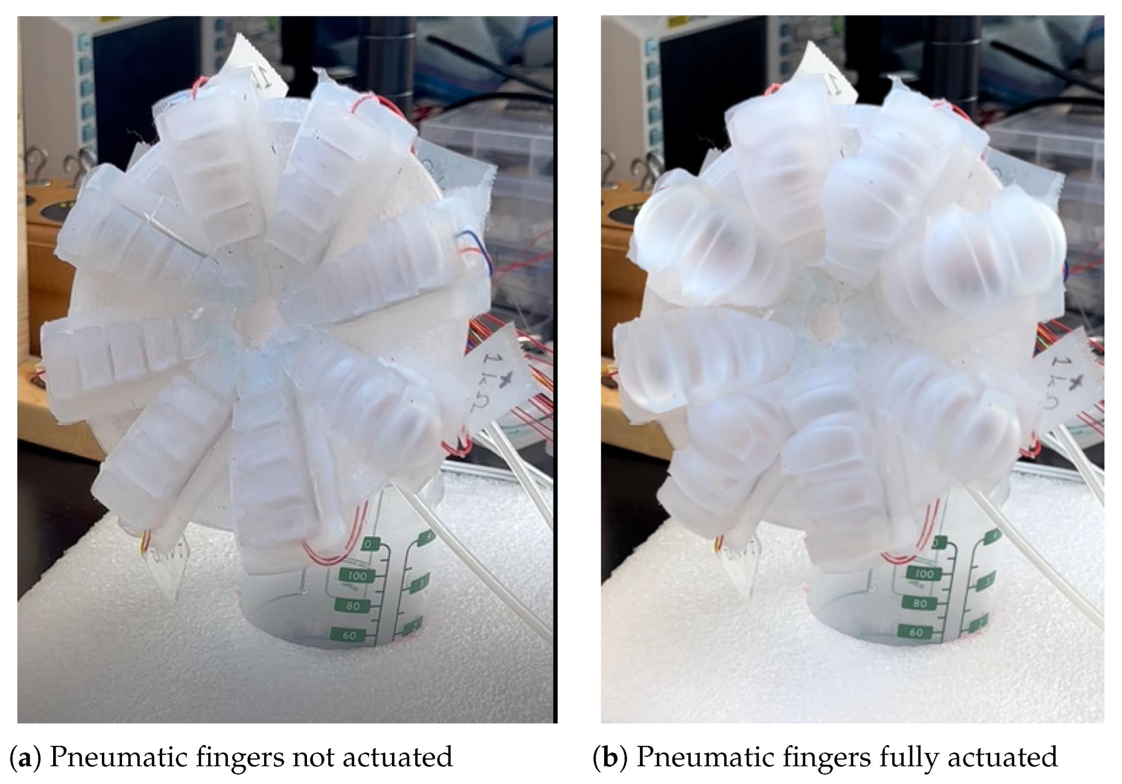 Biomimetics 08 00190 g008