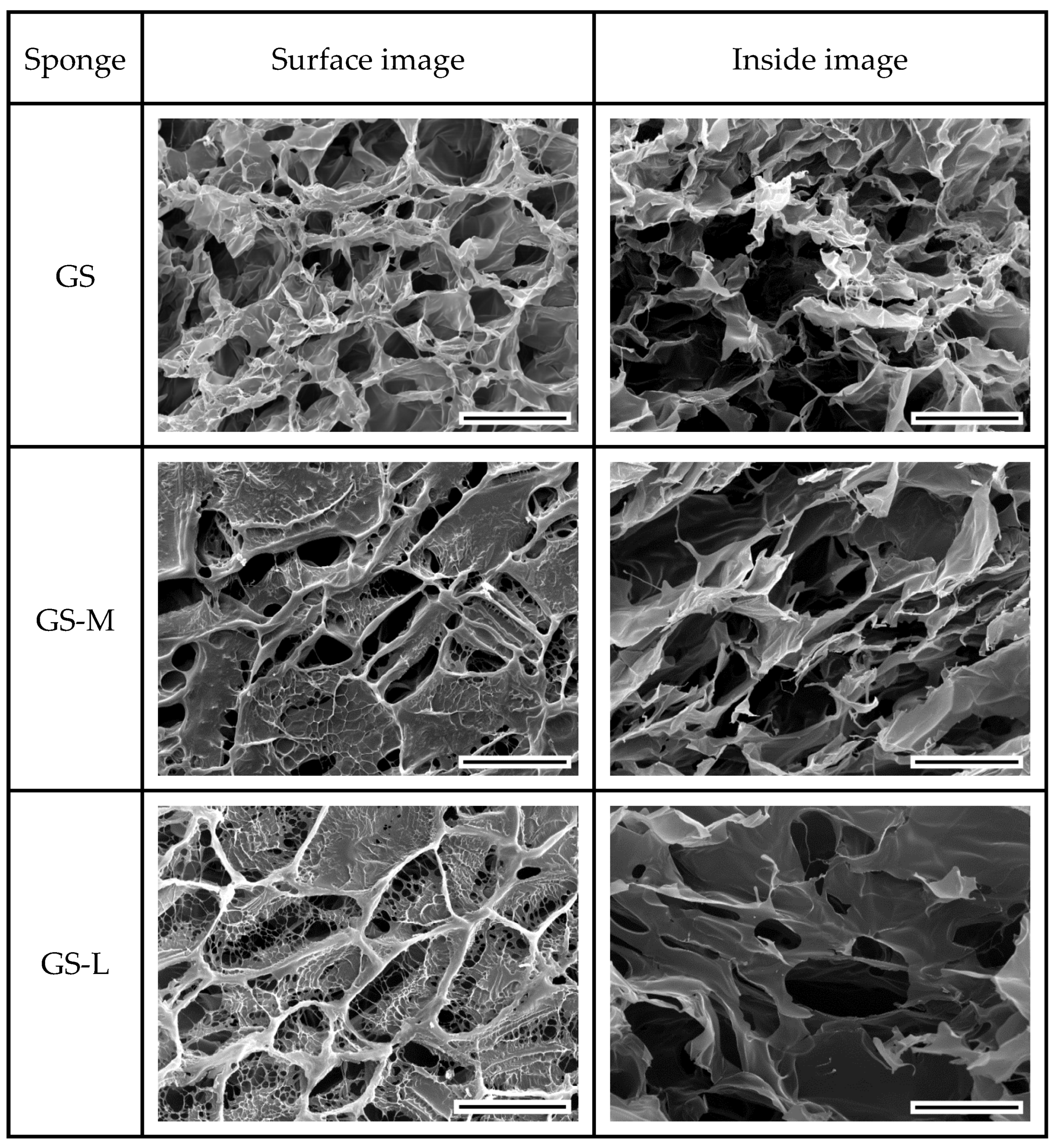 Biomimetics 08 00193 g003