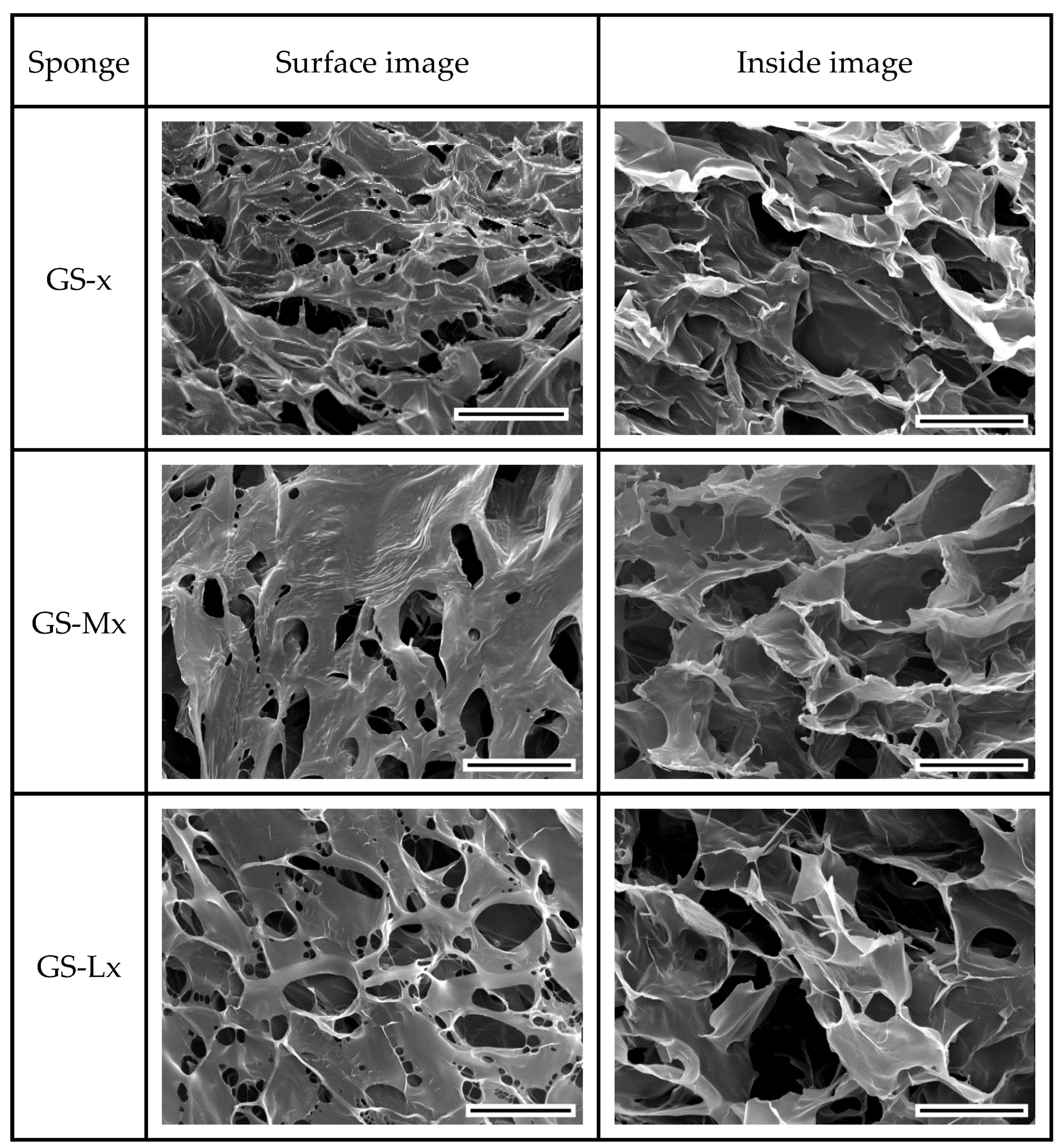 Biomimetics 08 00193 g004